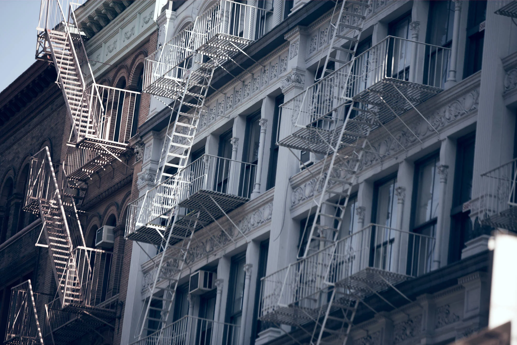 curia-nyc-3.jpg