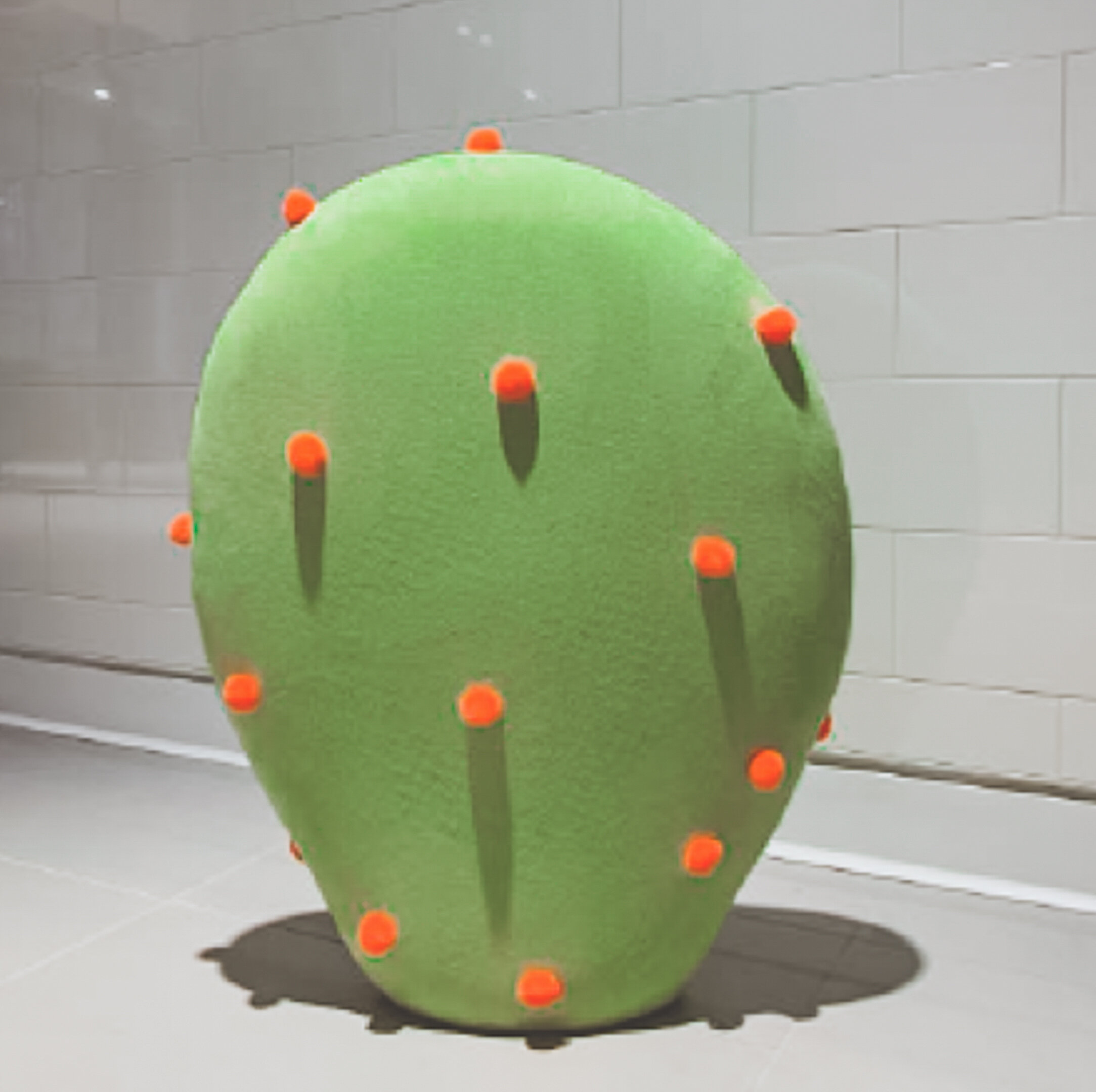 cacti 4-2-2.JPG