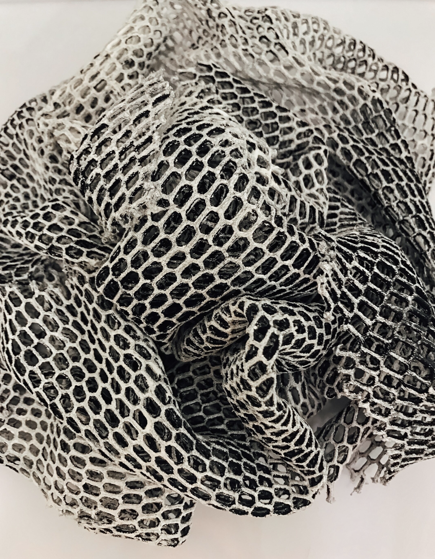 Screen Shot 2020-01-26 at 5.42.12 PM.png