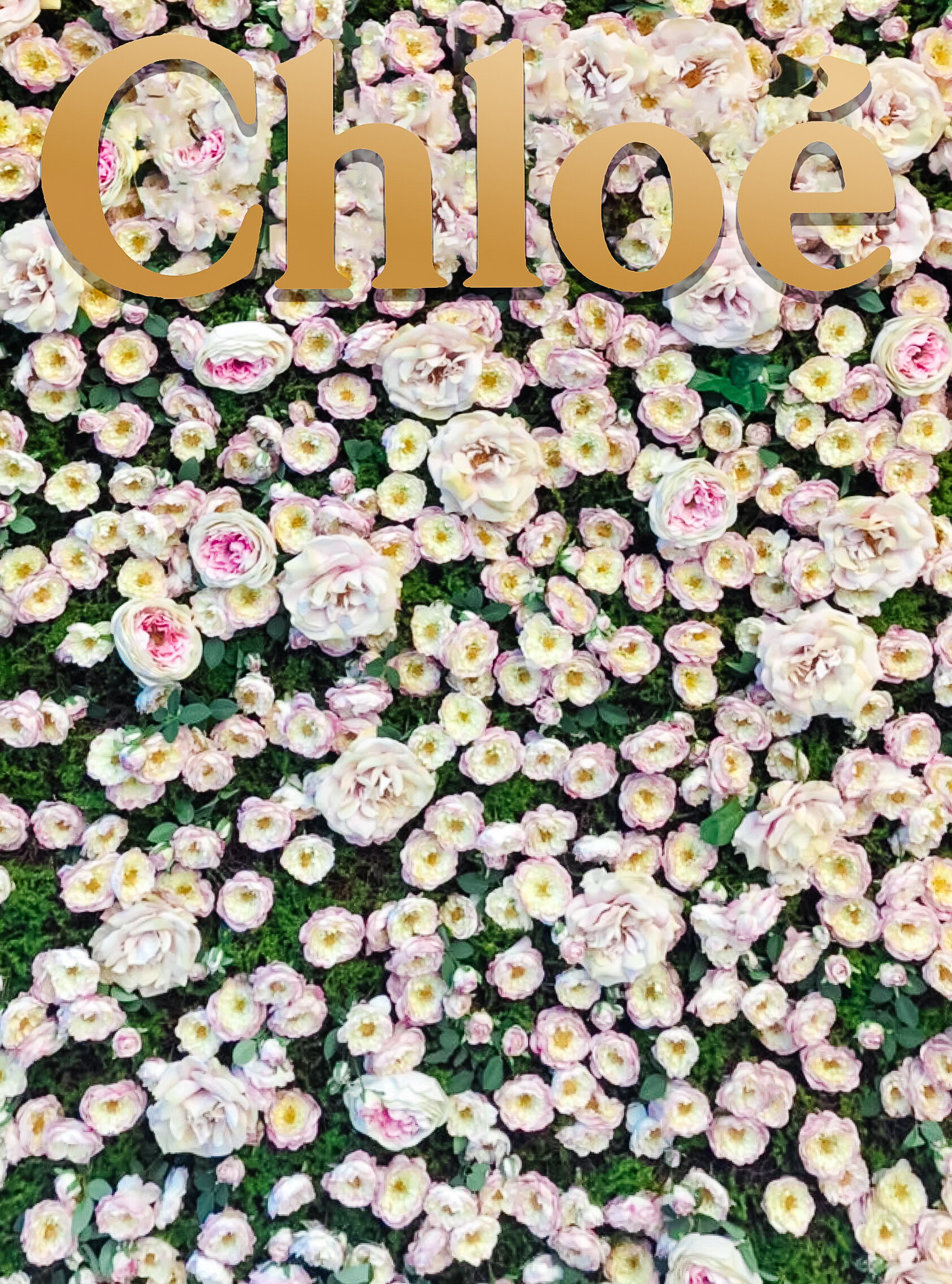 FlowerWall.jpg