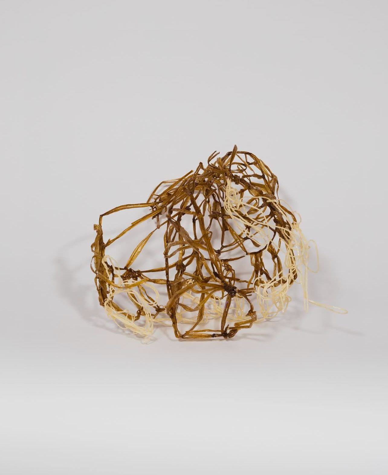 Screenshot 2025-01-22 at 9.27.17 am.jpeg