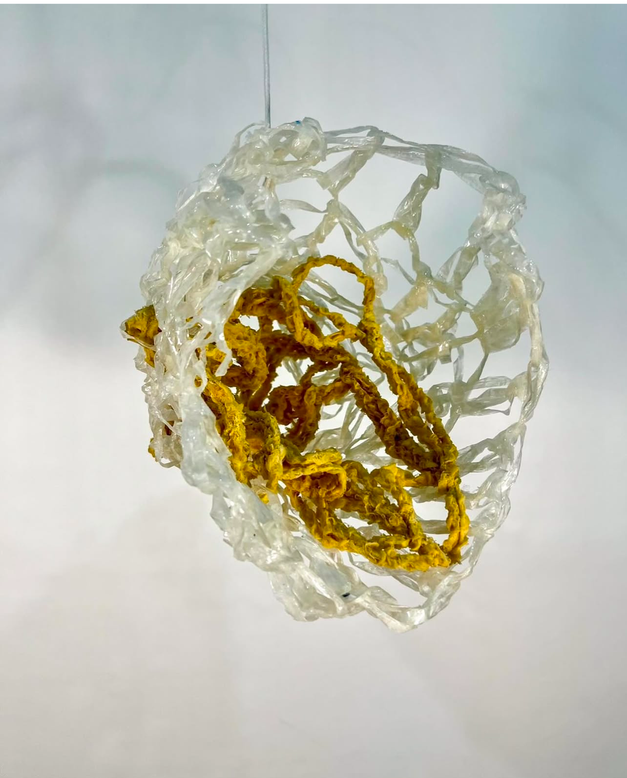 Screenshot 2025-01-22 at 9.29.04 am.jpeg