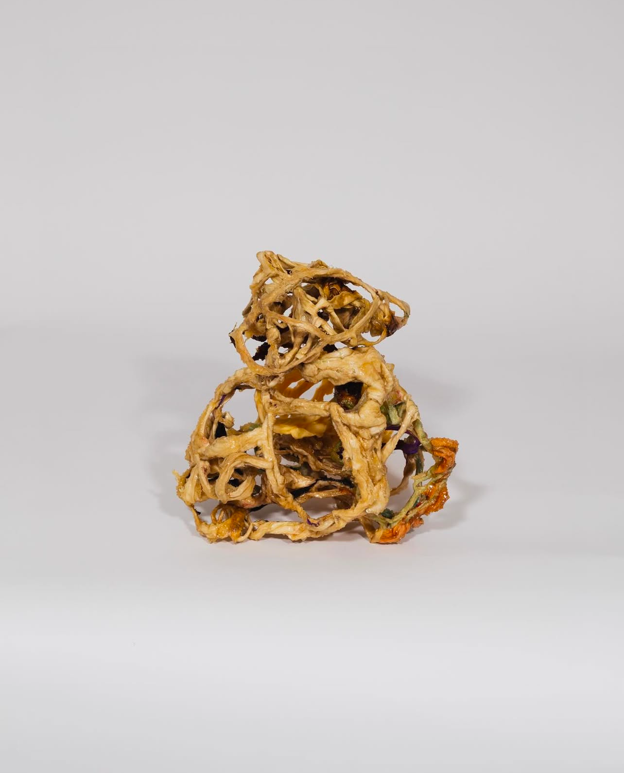 Screenshot 2025-01-22 at 9.32.50 am.jpeg