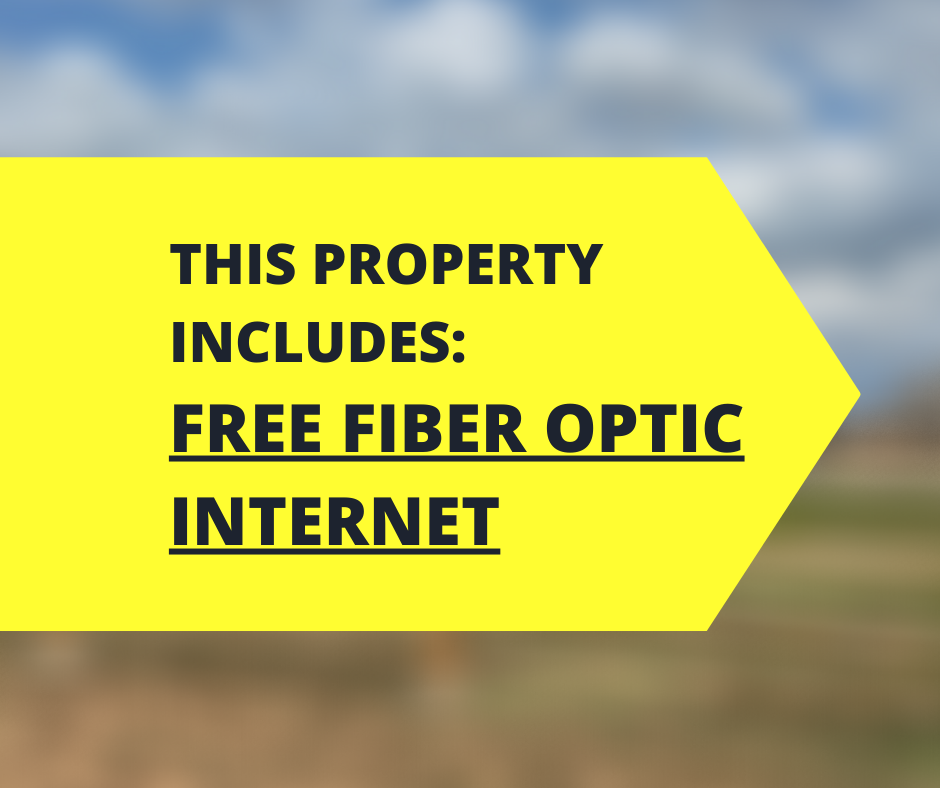 FREE FIBEROPTIC INTERNET!.png