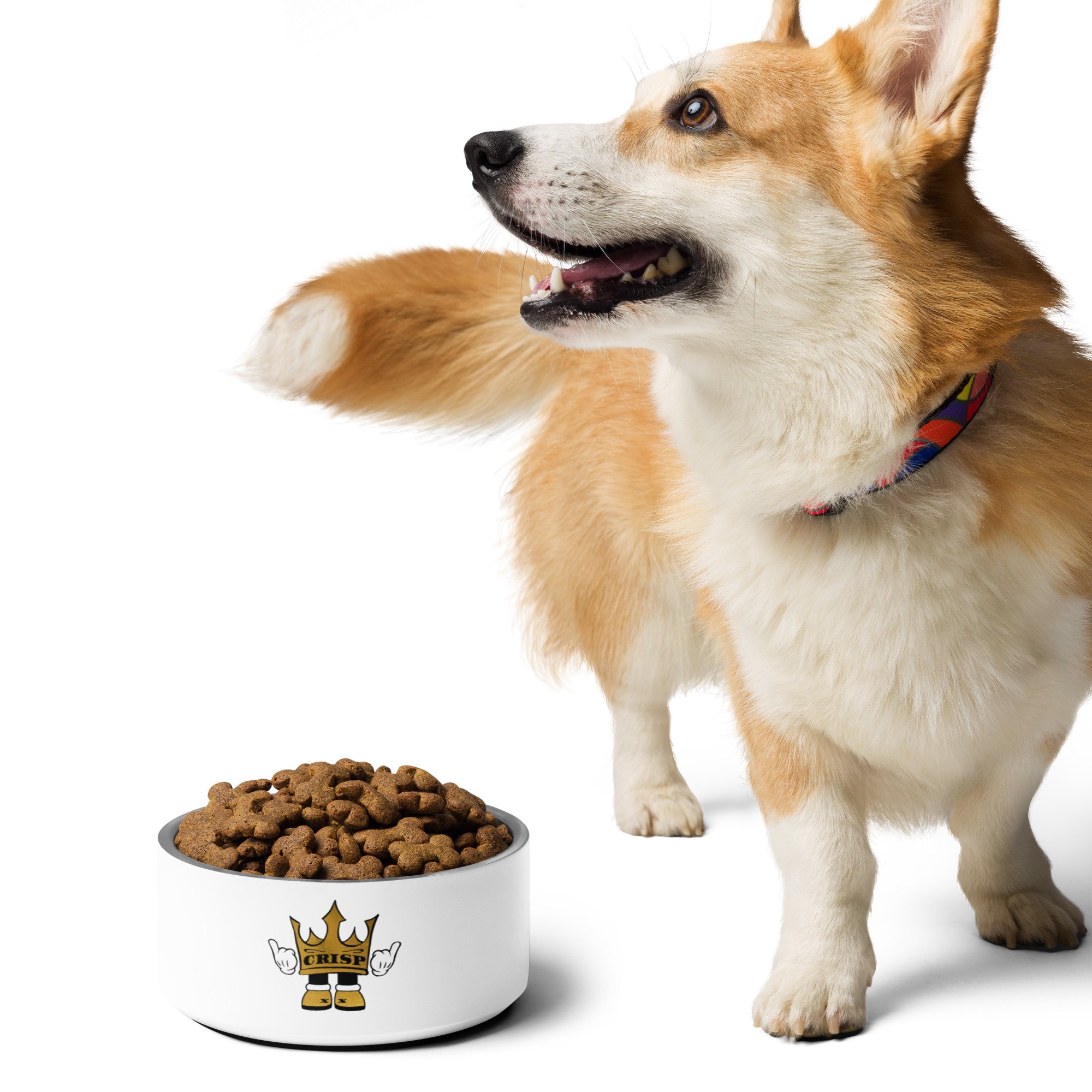 pet-bowl-white-32-oz-front-651eeeca9a19b.jpg