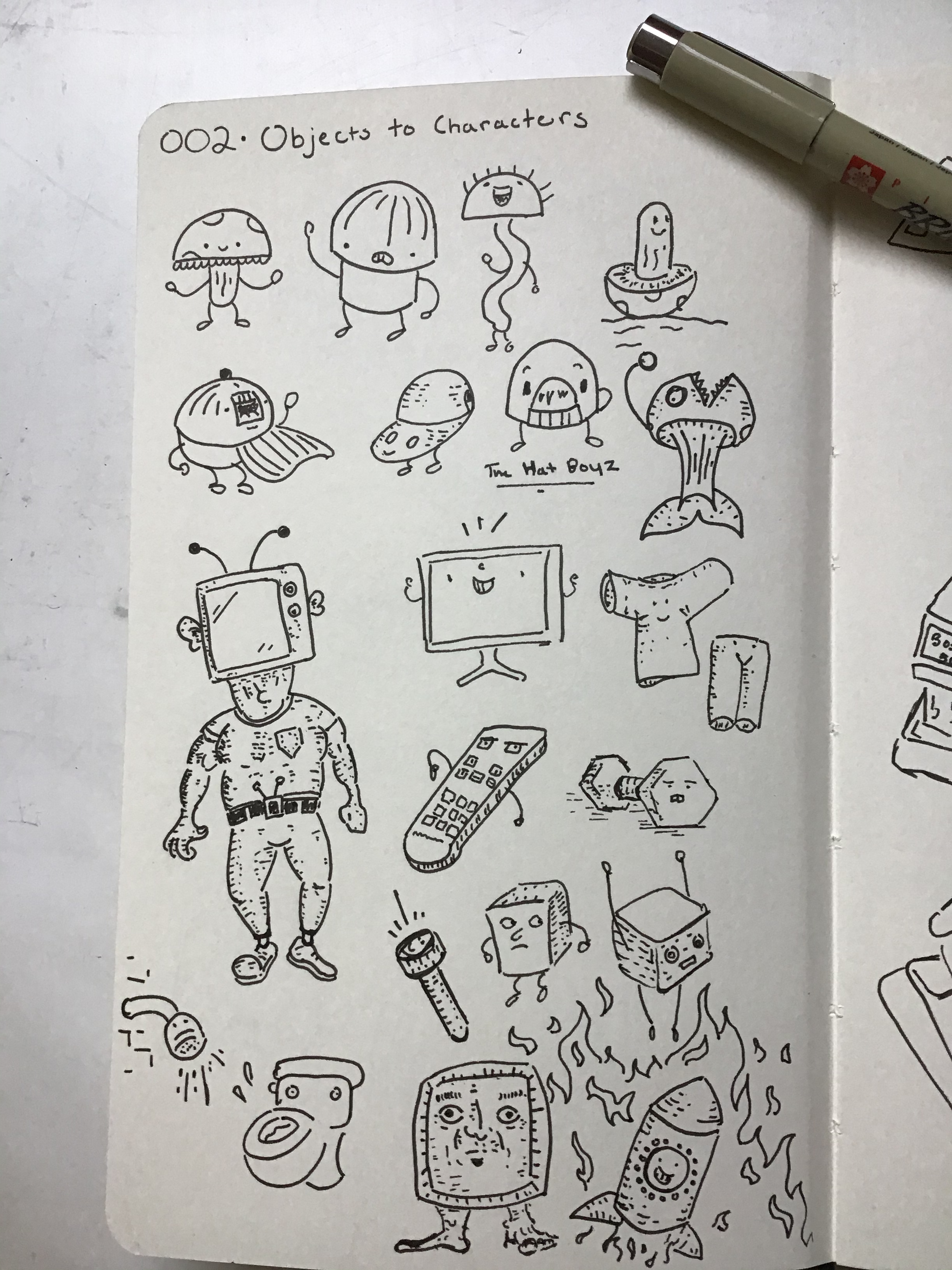 IMG_0642 2.png