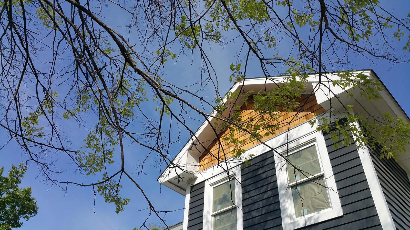 View of roofline through tree branches