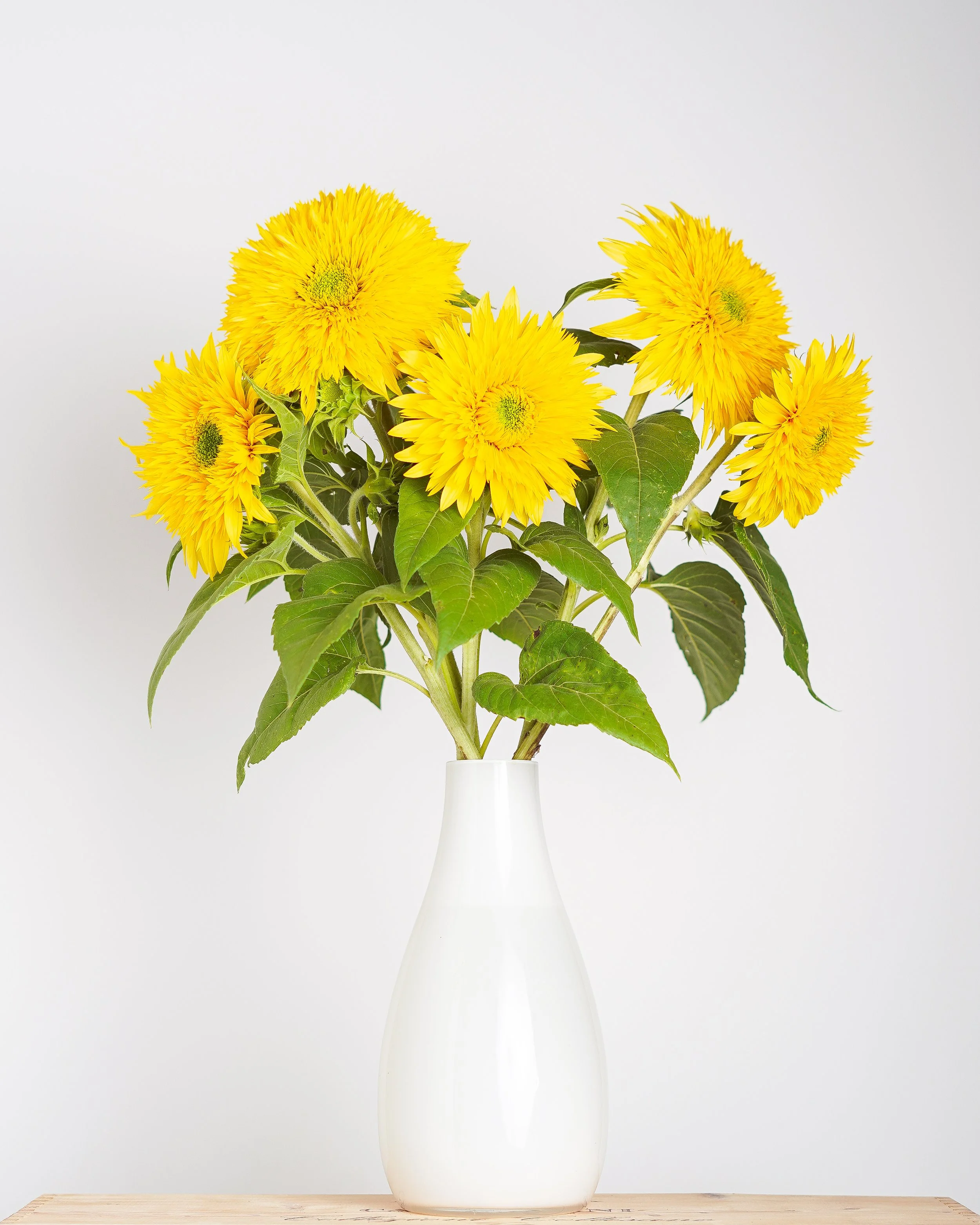 lemondropsunflowers1-Edit.jpg