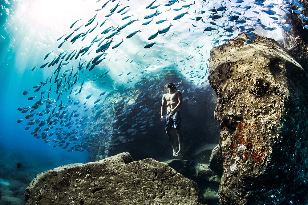 World Nature Photography Awards 2020, #L&#8217;orango è il protagonista del World Nature Photography Awards 2020
