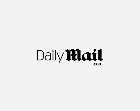 Daily-mail-dot com logo .jpg