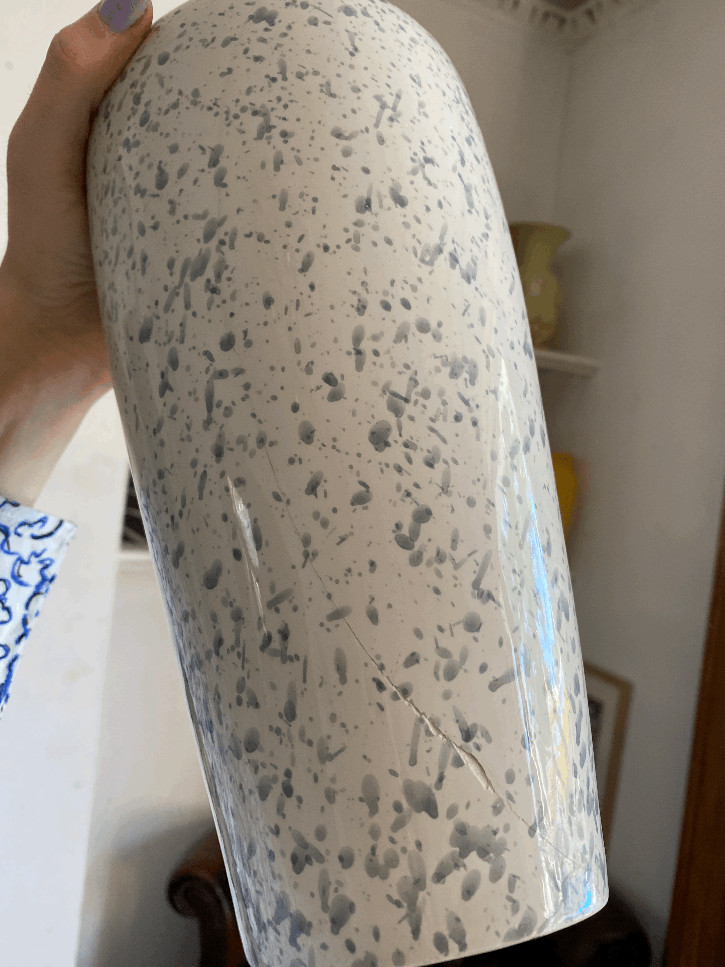 tempImagejPim4S.gif