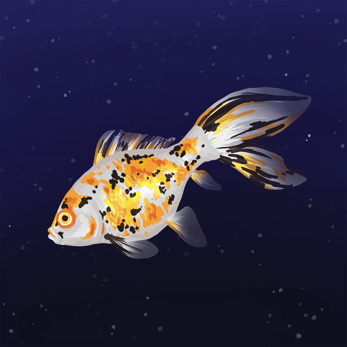 Goldfish Galaxy