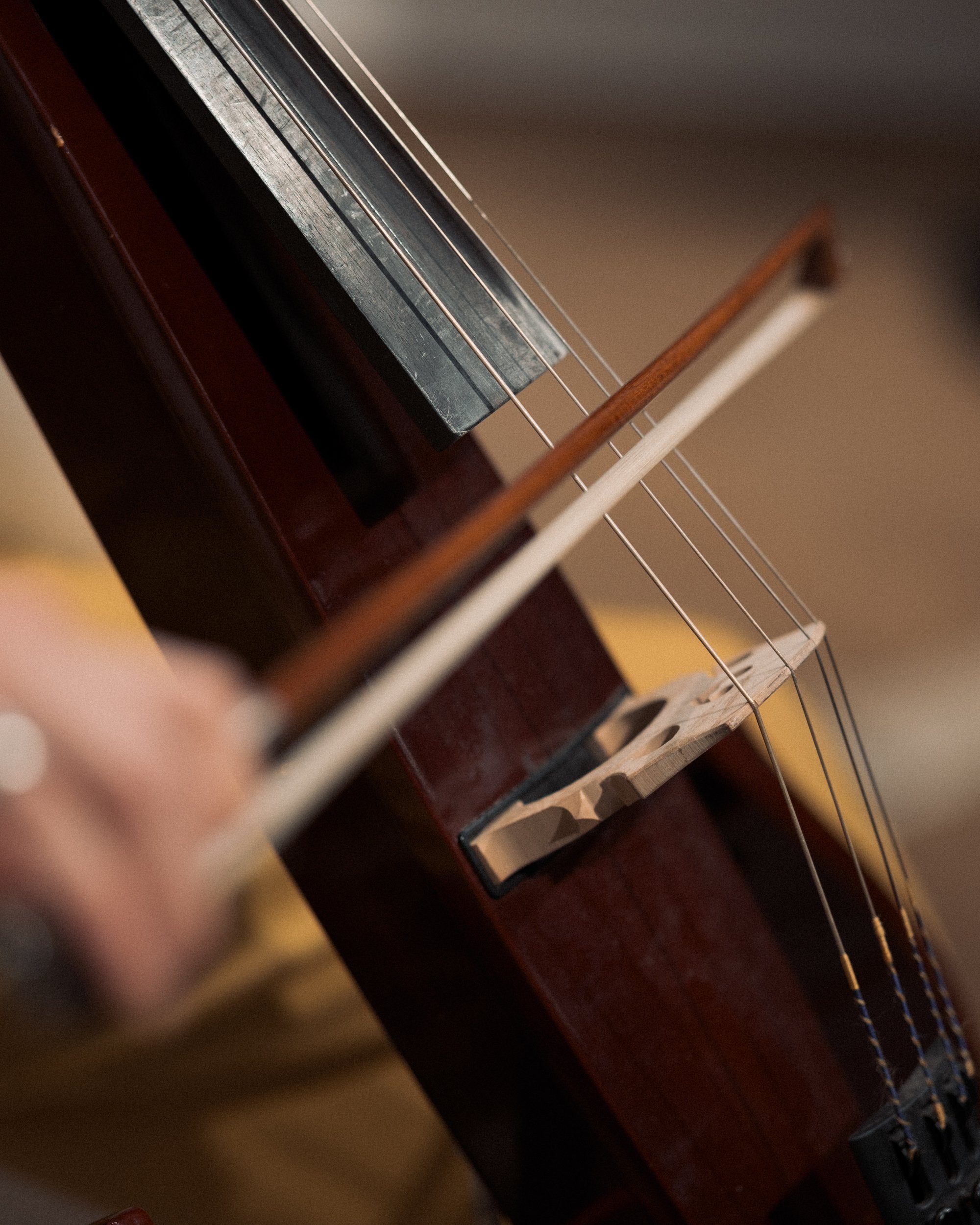 bo_ryon-123 copy.jpg