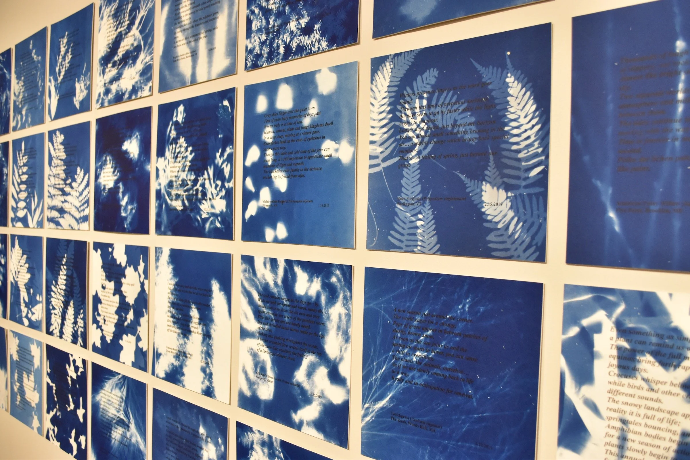 Embracing change 2.jpg