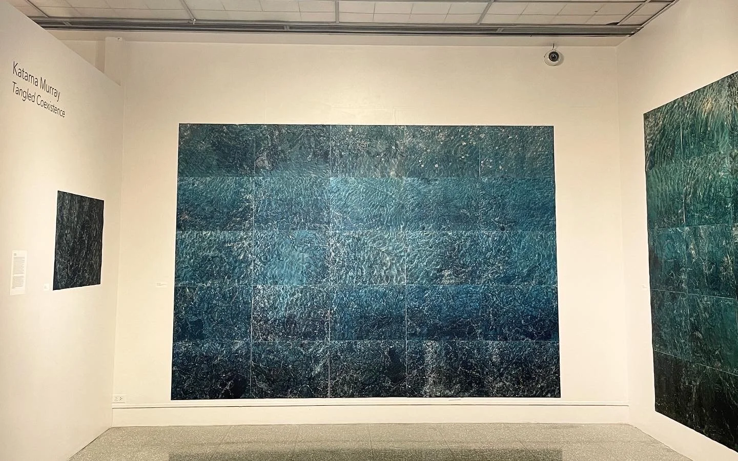 9EDD4D13-1002-4664-A774-1B7B60BCD4C3 copy.JPG