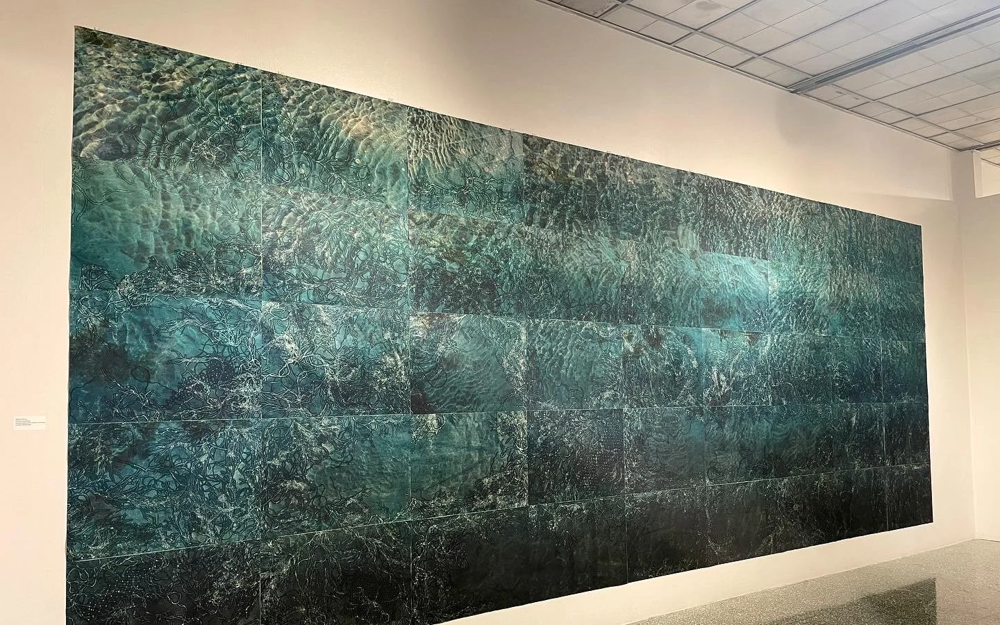 74E7A295-15CE-4D03-B1F9-7DEFF02D5096 copy.JPG