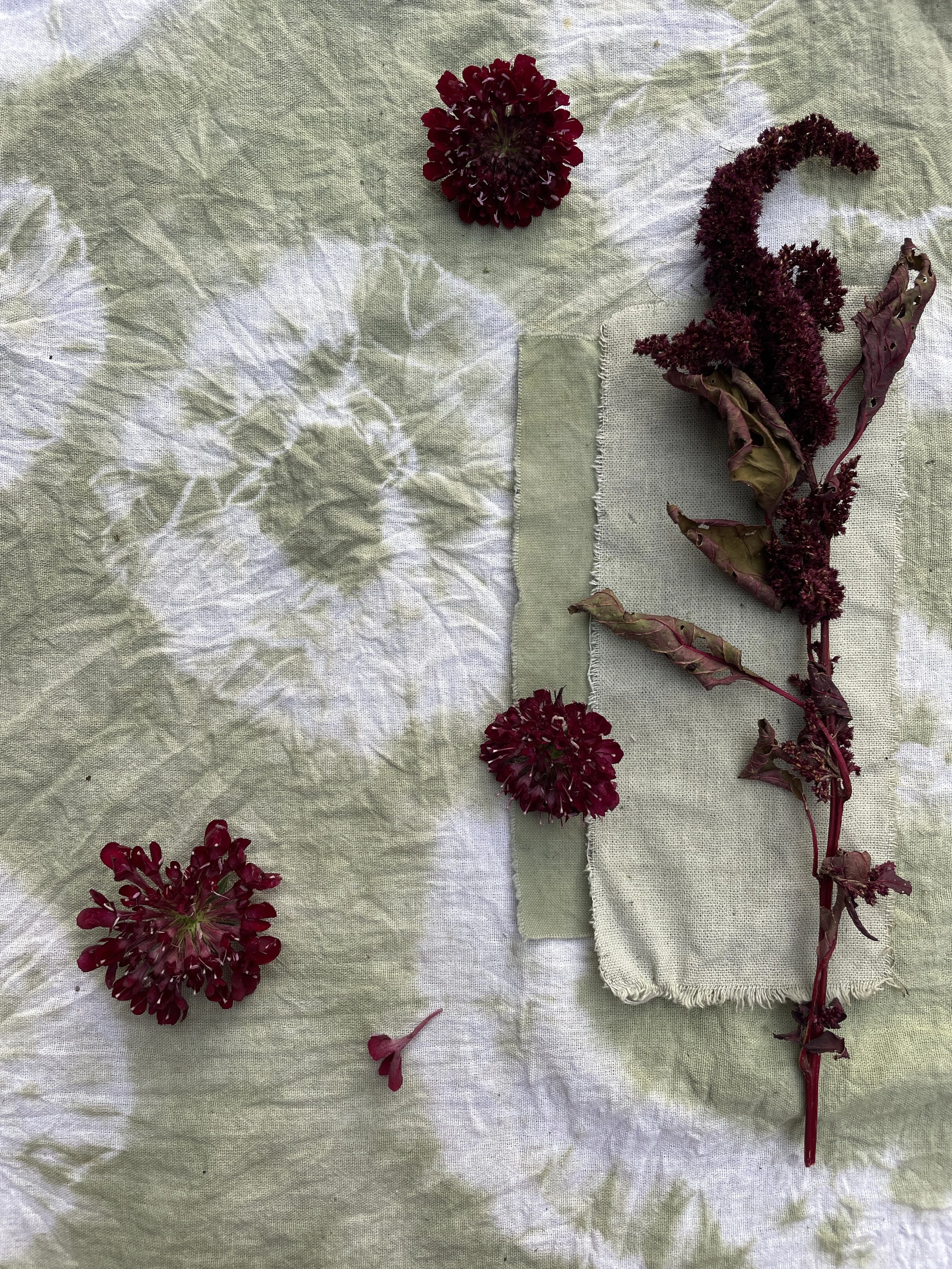 Natural Fabric Dyeing with Kitchen Waste