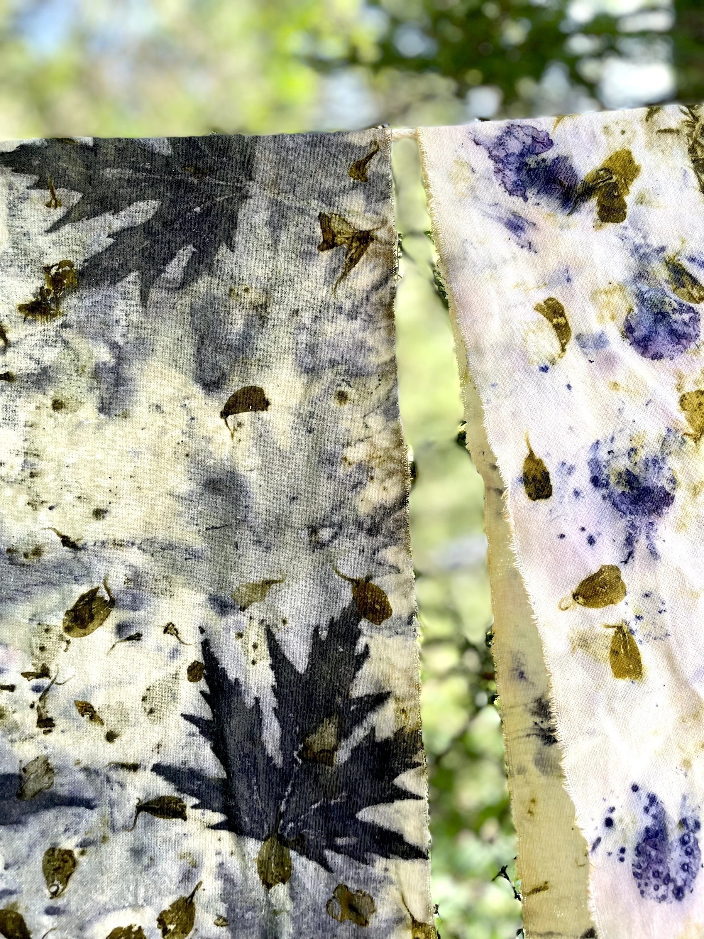 Botanical Eco Printing