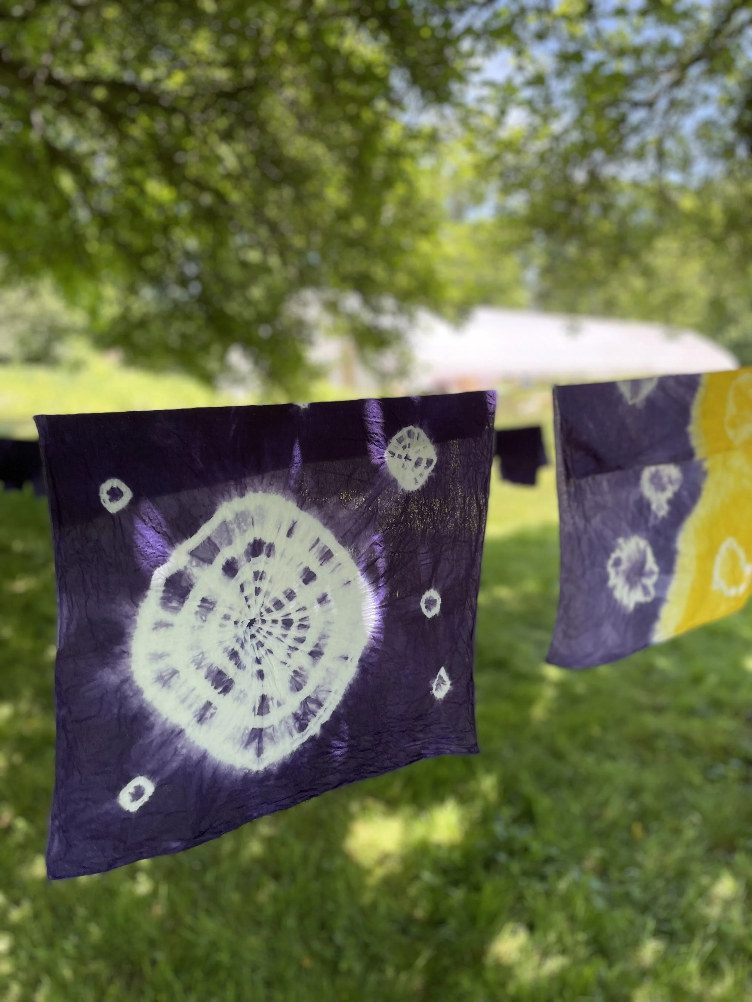 Natural Dyeing & Painting