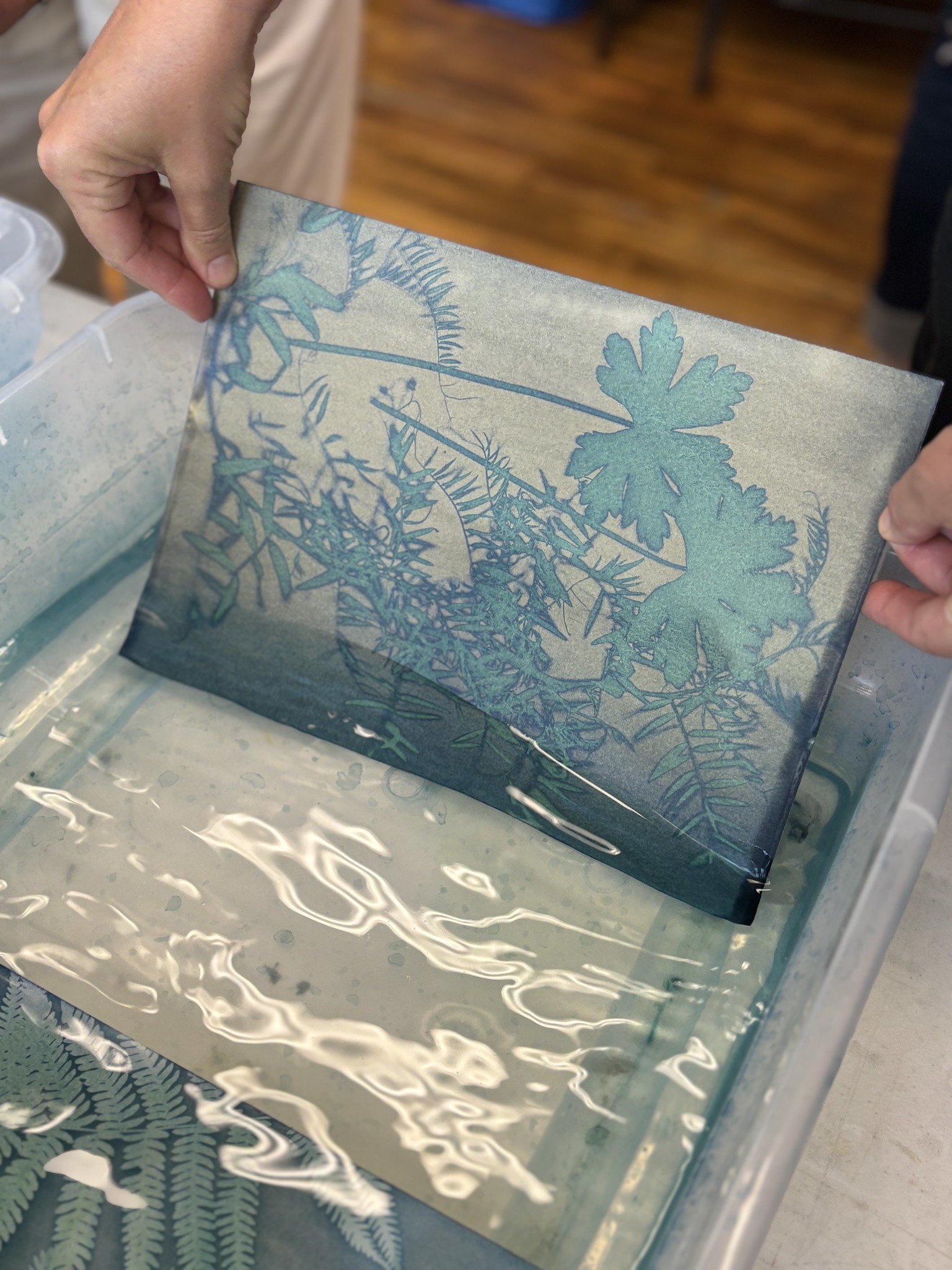 Multimedia Cyanotype Printing