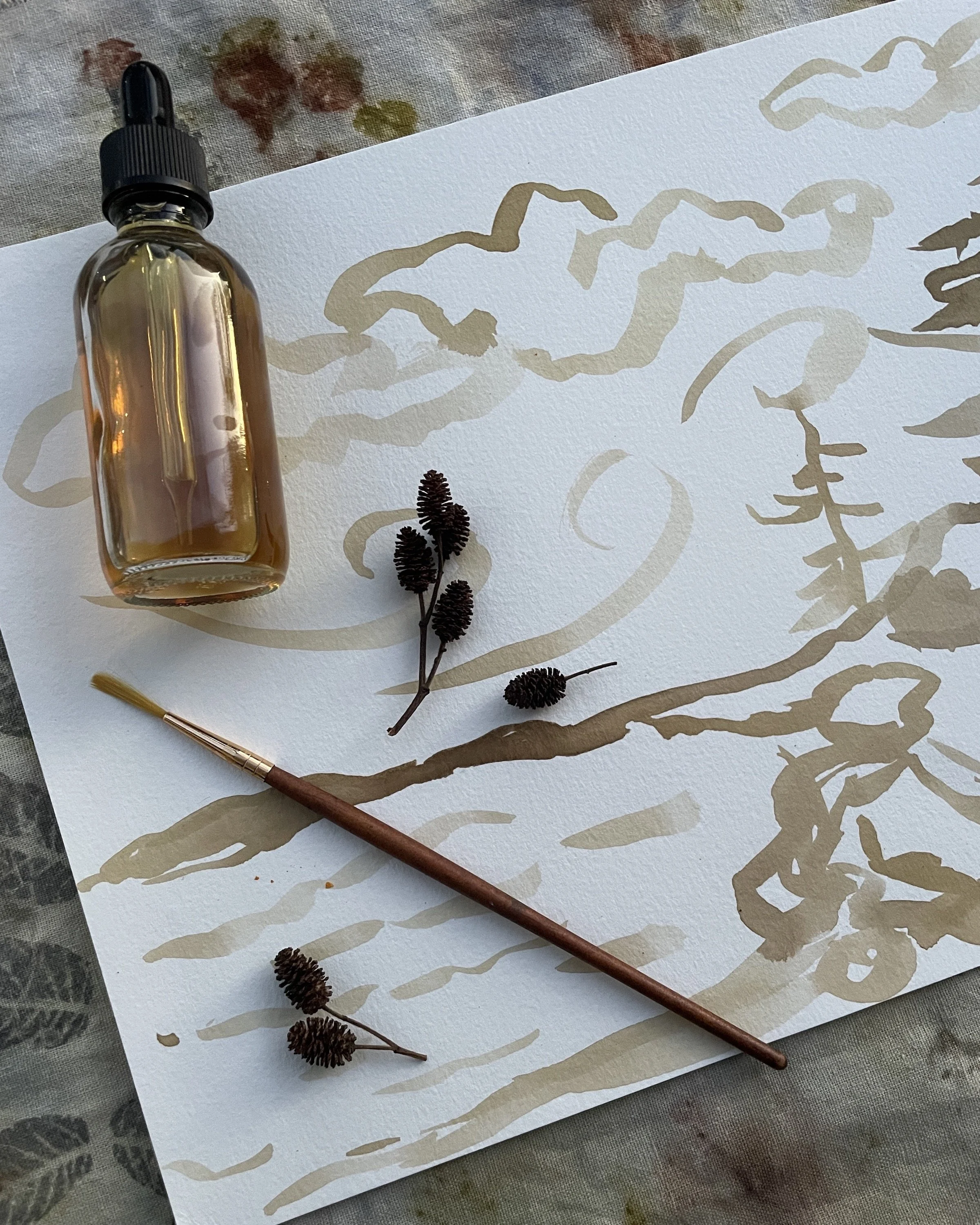 Midcoast Conservancy Outdoor Studio: Nature Mandalas &amp; Painting with Plant Inks
