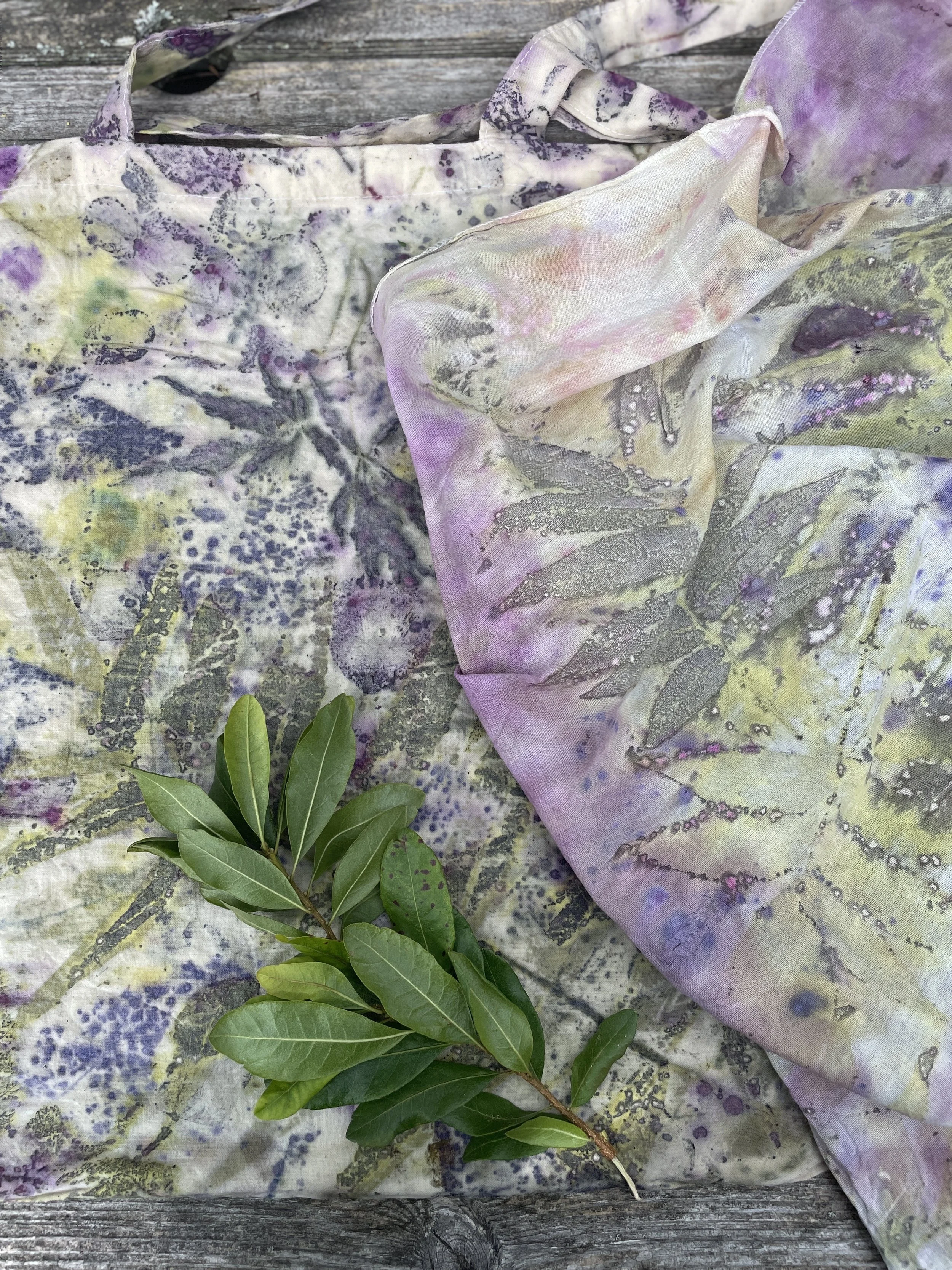 Power of Plants: Botanical Eco Printing