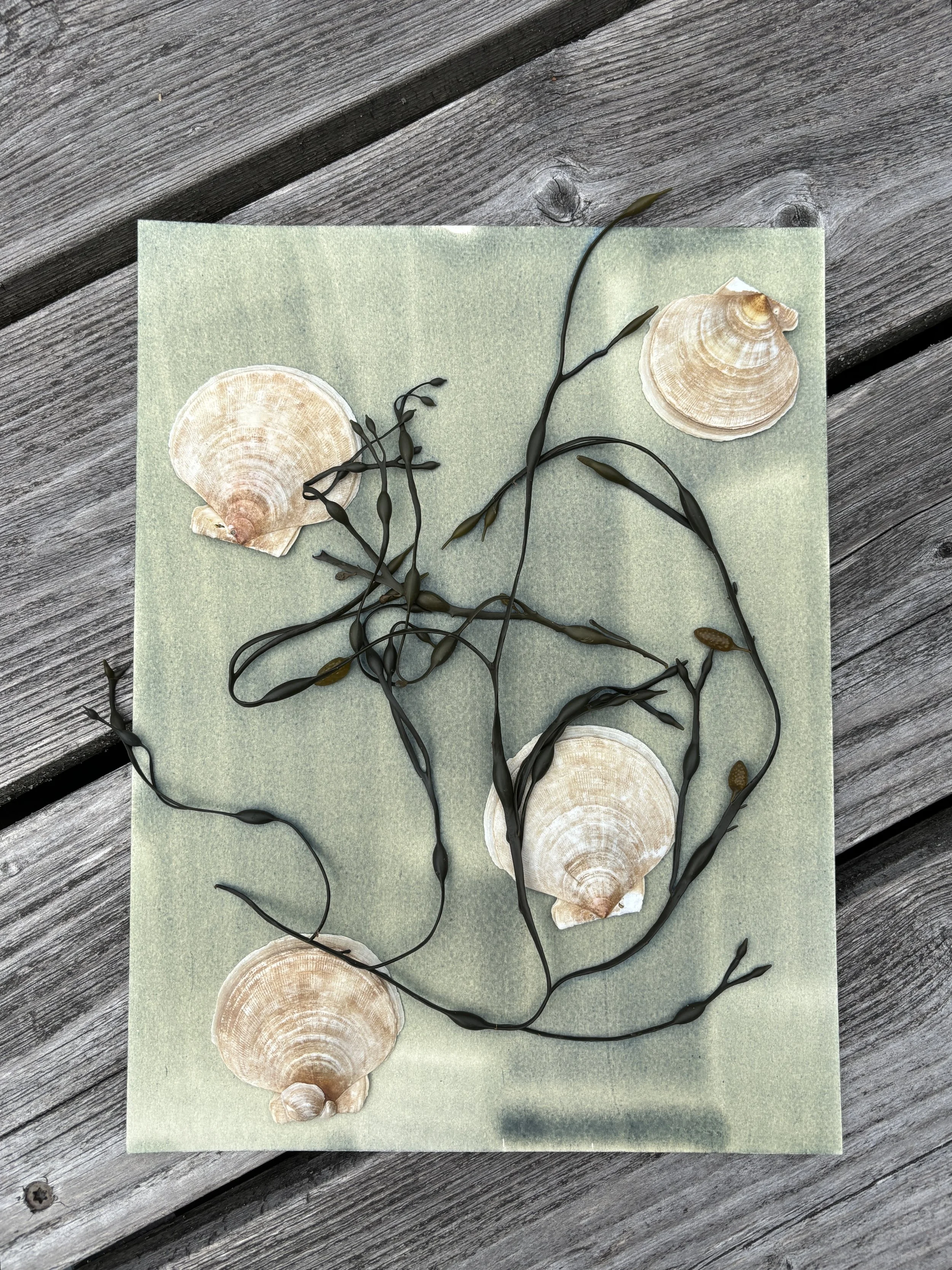 Cyanotype Printing on Fabric & Paper