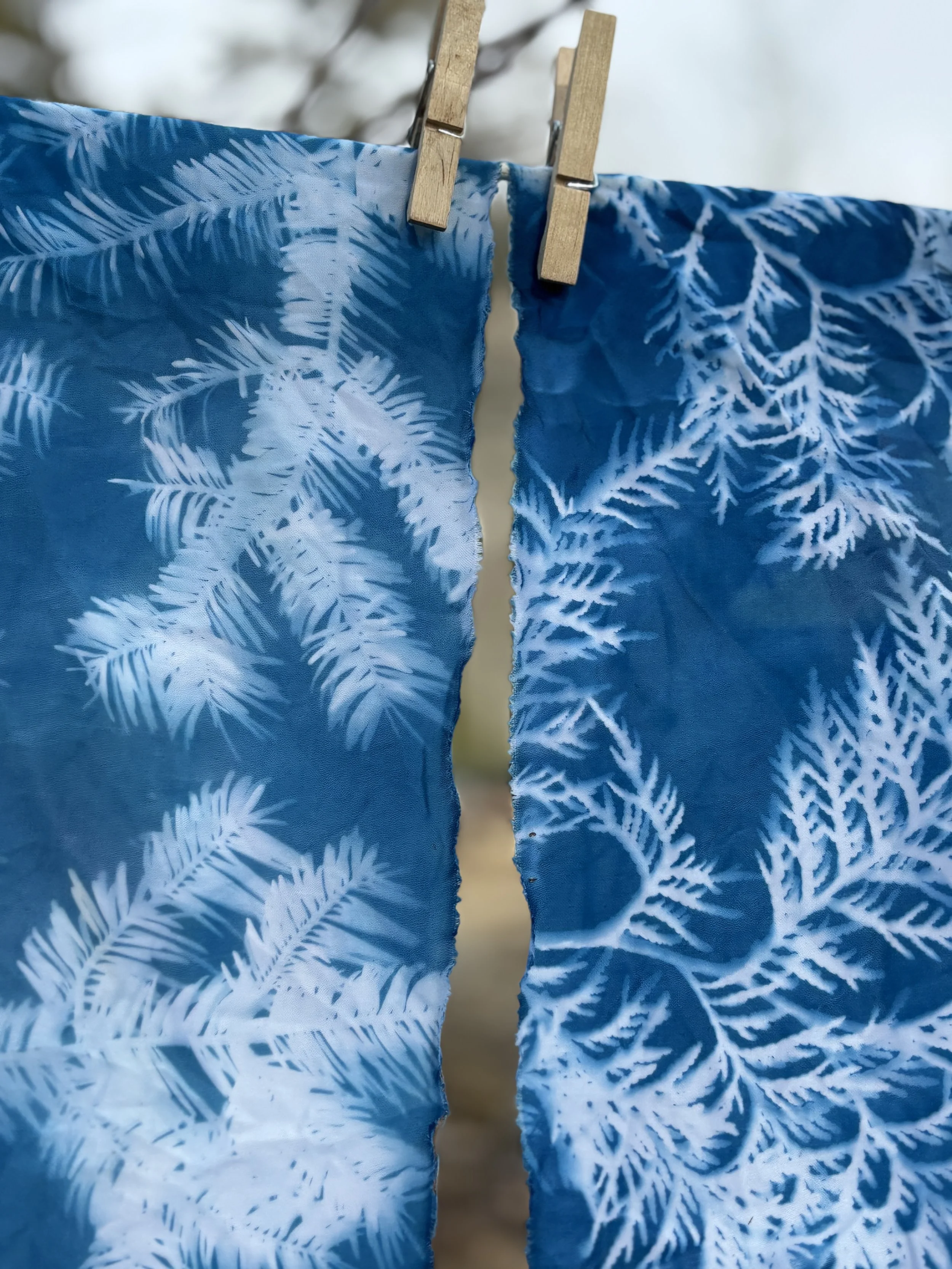 Cyanotype Printing