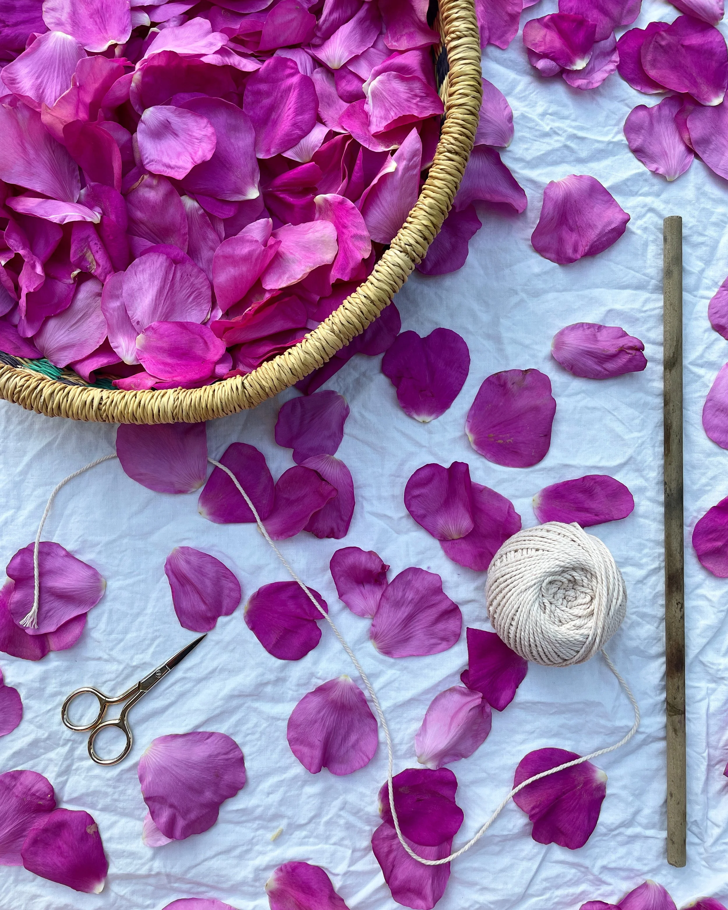 Botanical Eco Printing