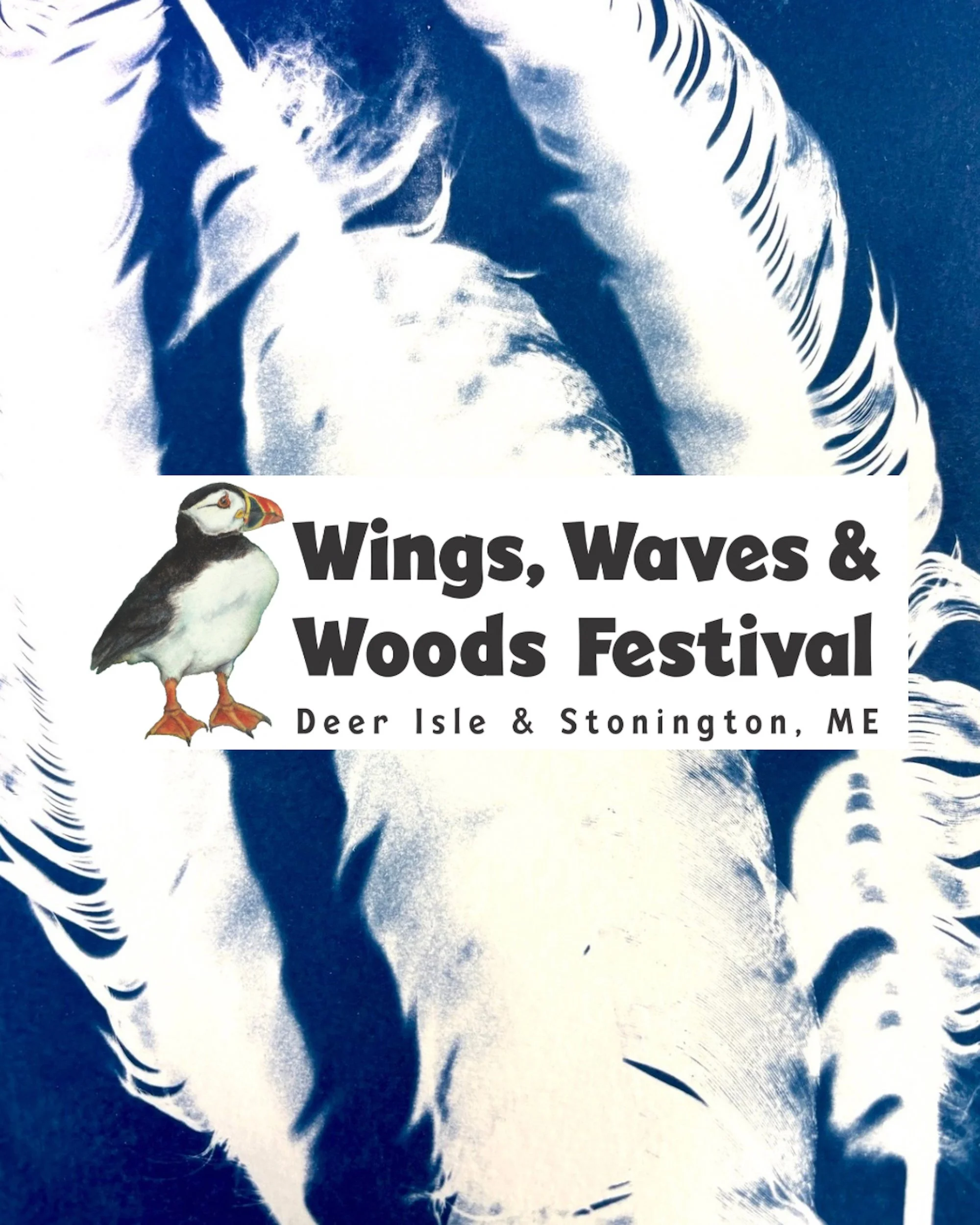 IHT Wings, Waves &amp; Woods Festival: Stitched Cyanotype Print Nature Journals