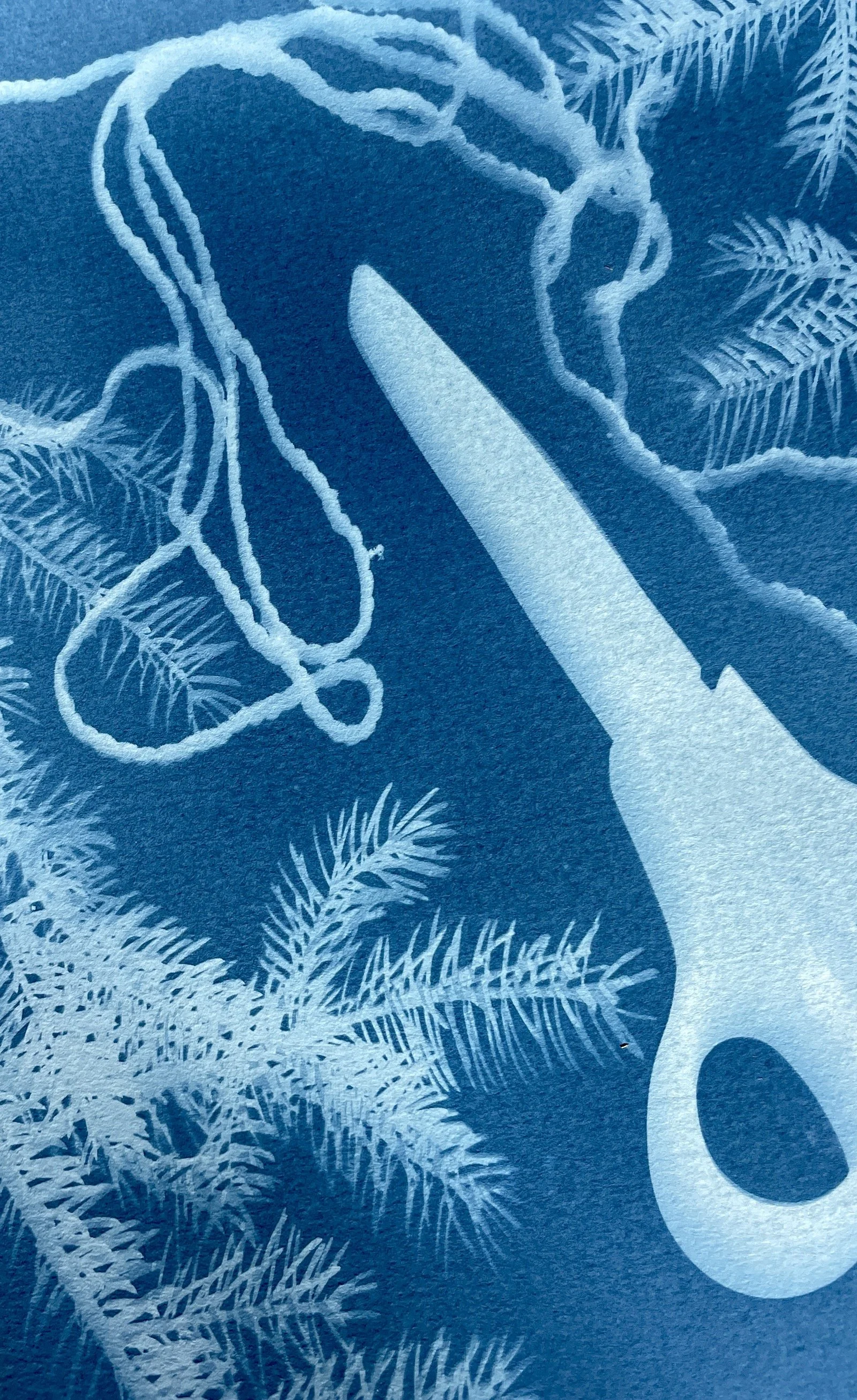 Cyanotype Sun Printing