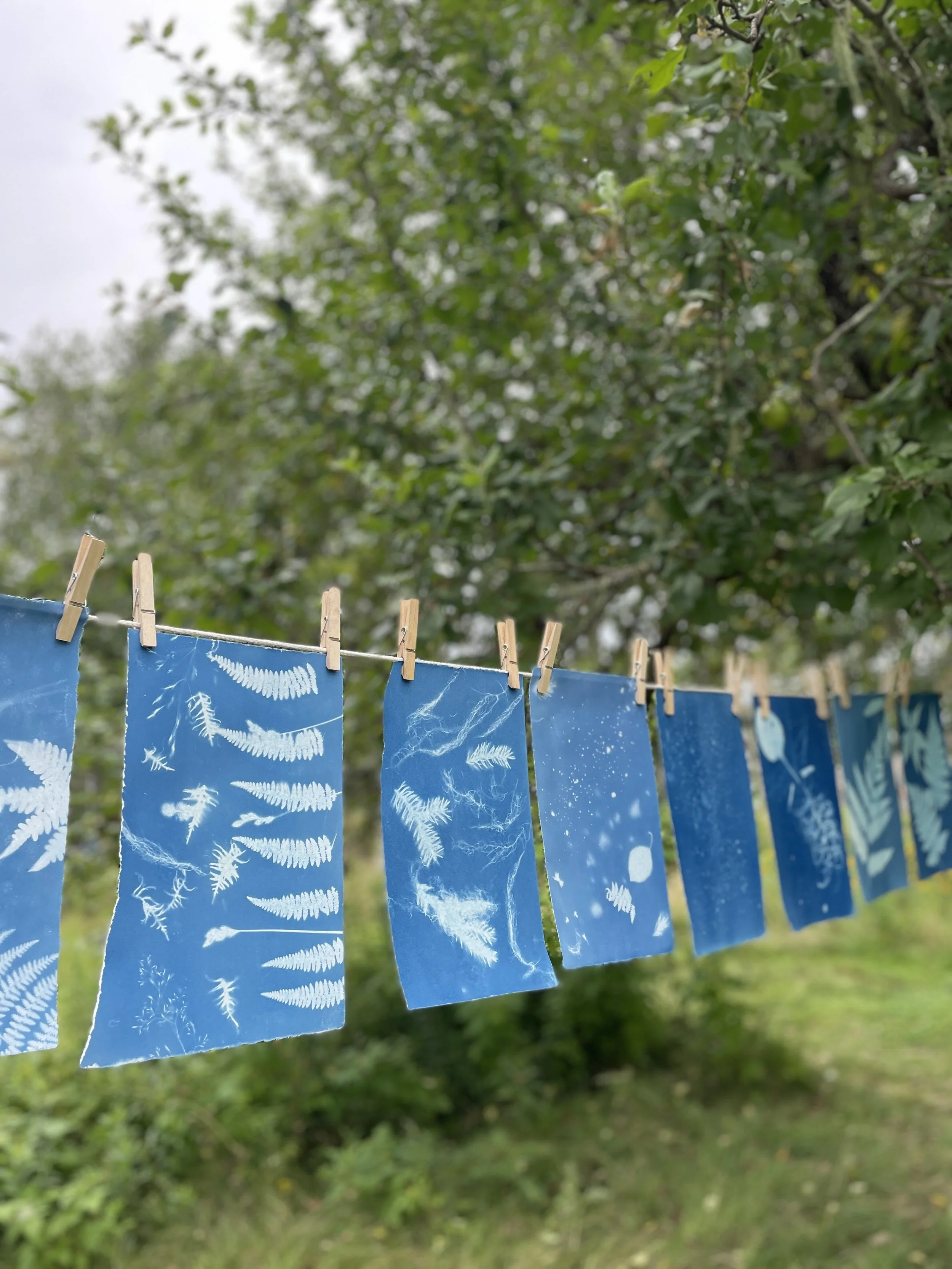 Cyanotype Printing