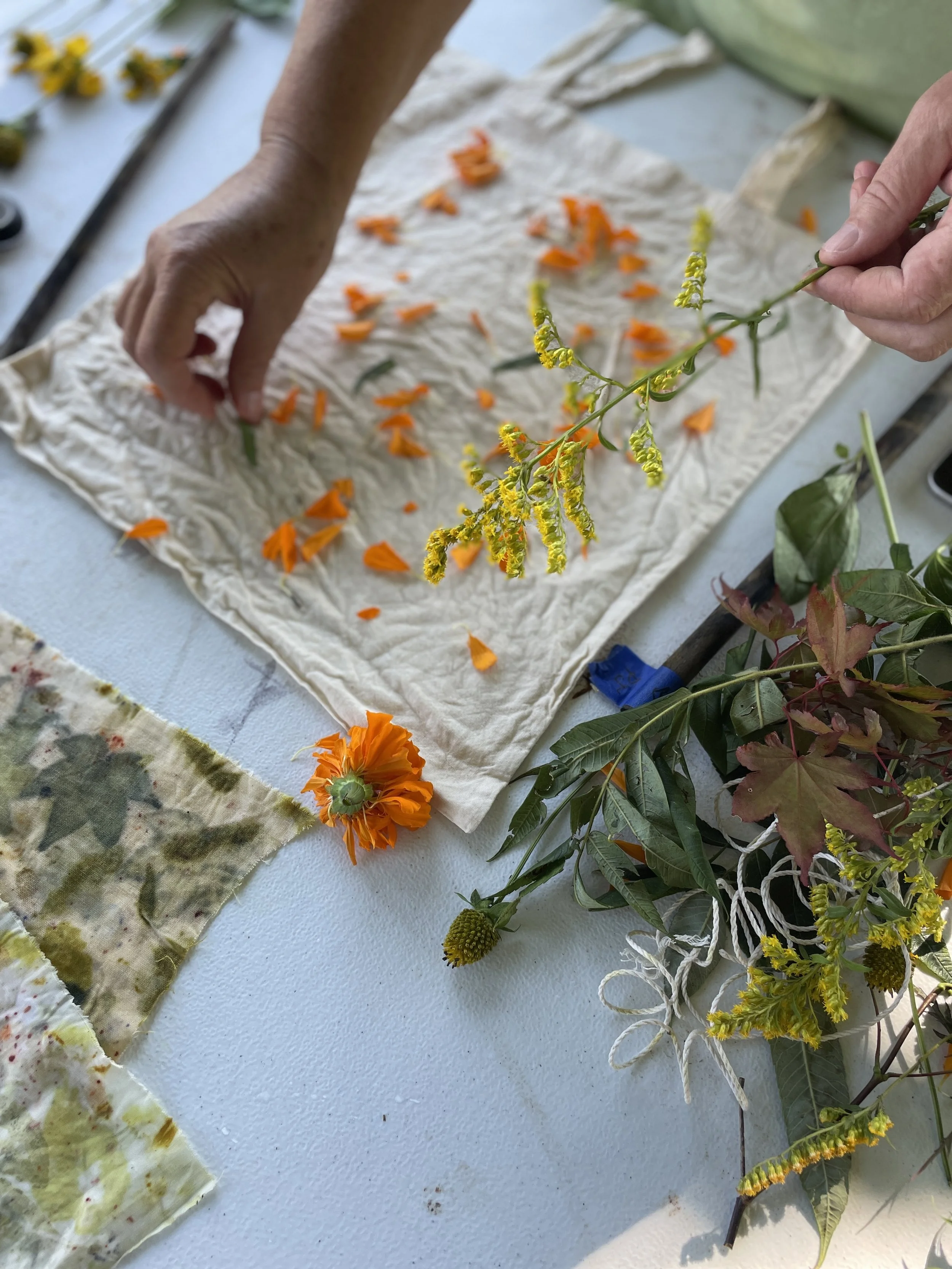 Botanical Eco Printing