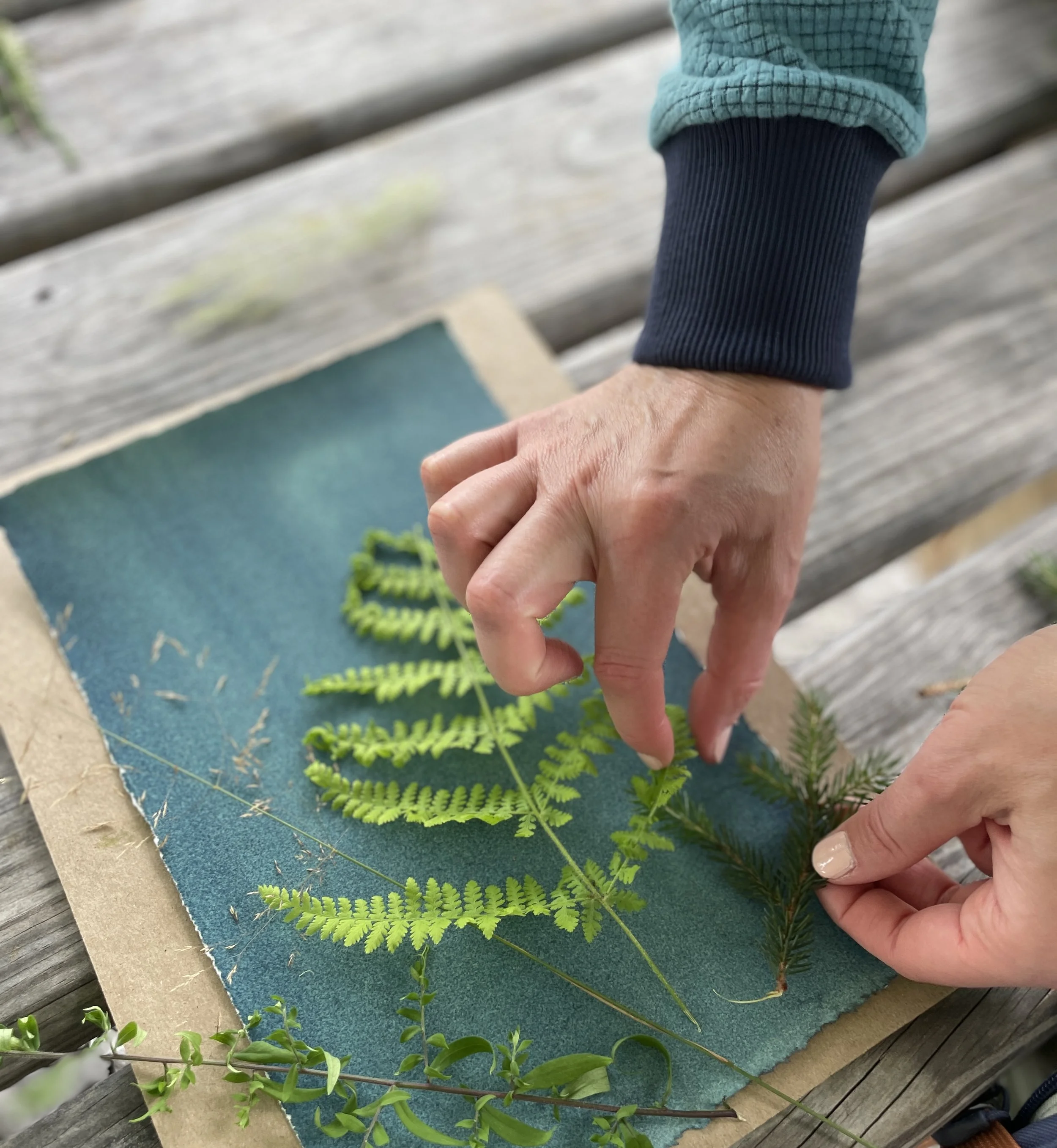 Cyanotype Printing