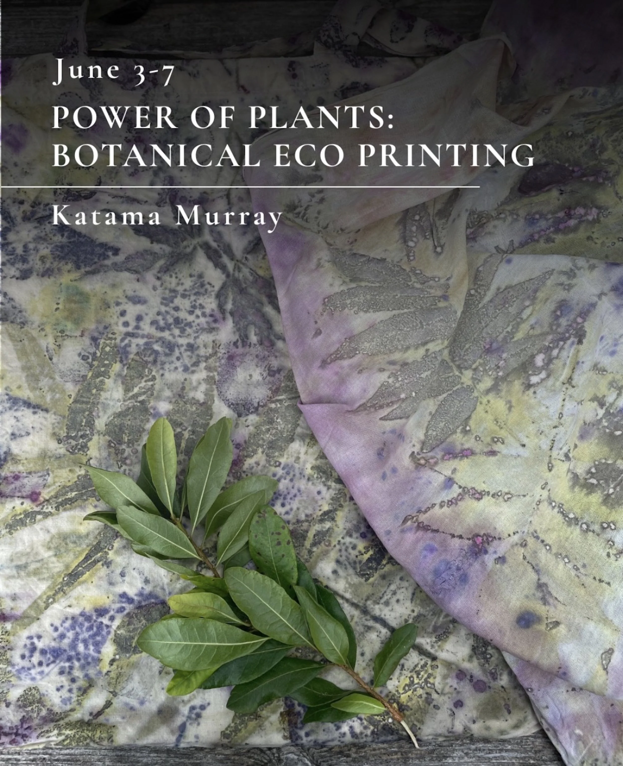 June Power of Plants Graphic.jpg