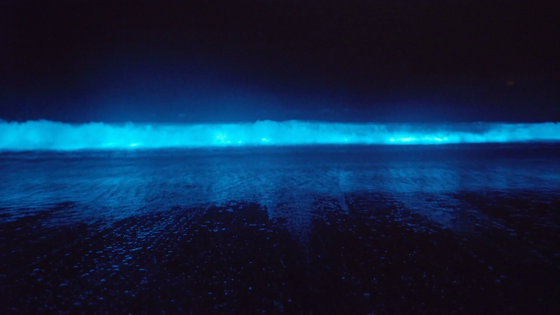 Blue Tears Selects.00_01_26_14.Still016.jpg