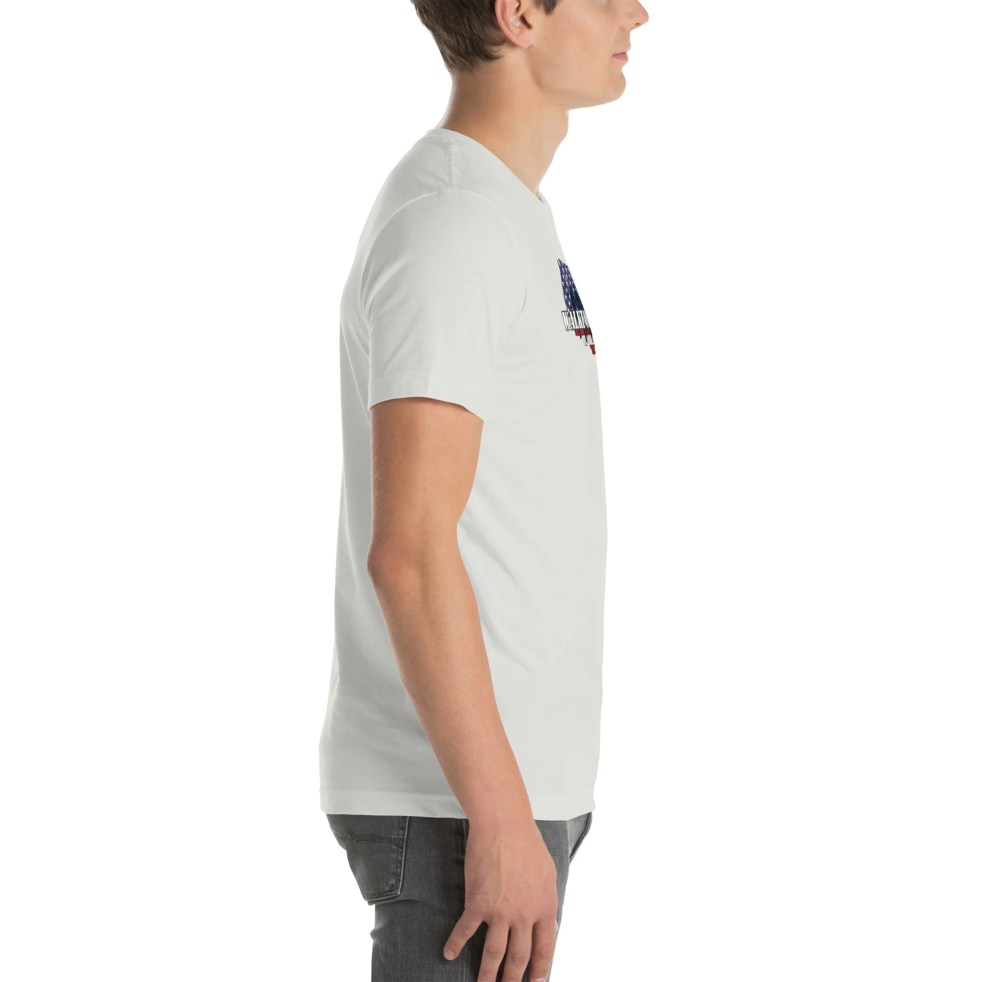 unisex-staple-t-shirt-silver-right-6a282088bb77d.jpg