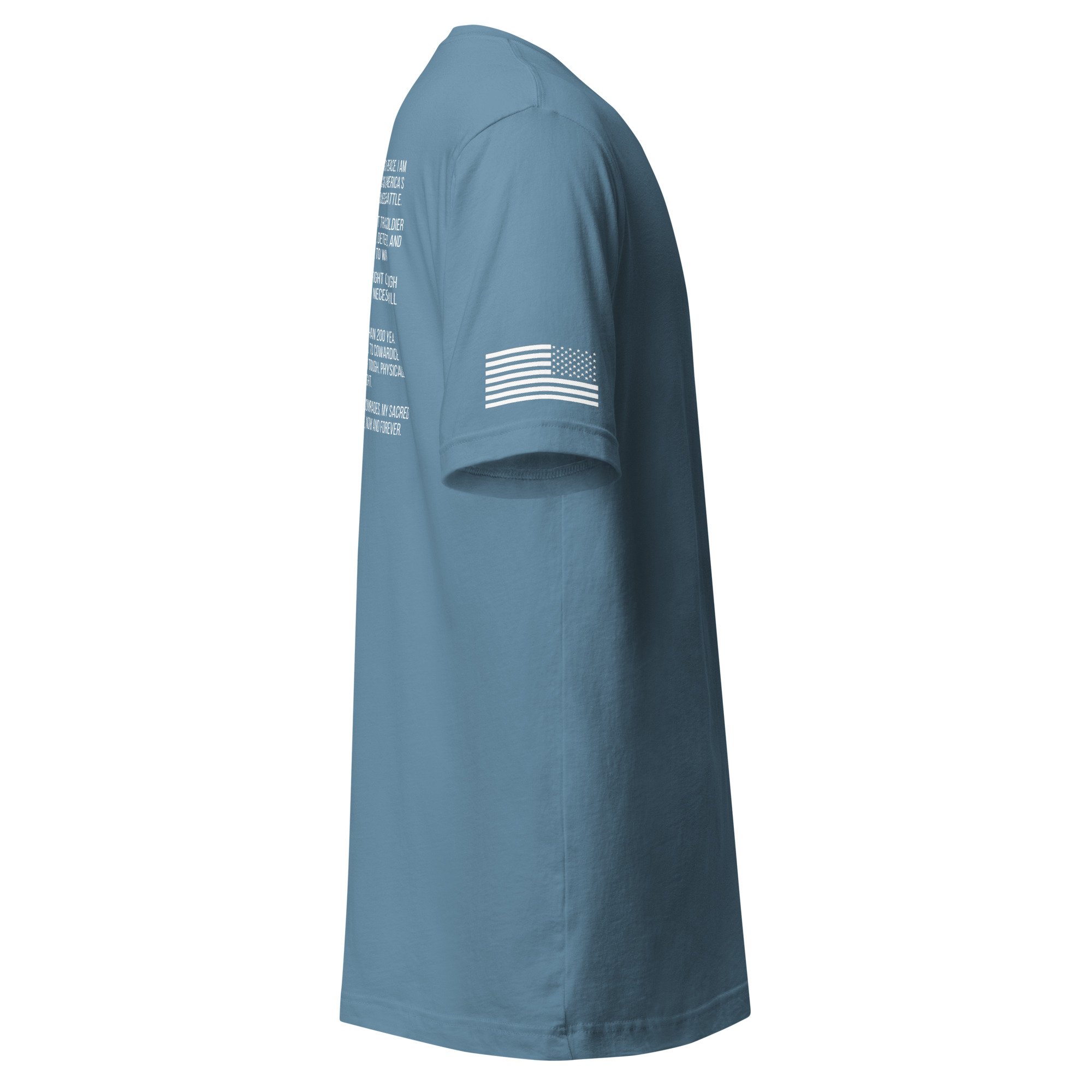 unisex-staple-t-shirt-steel-blue-right-6a28cd831438a.jpg