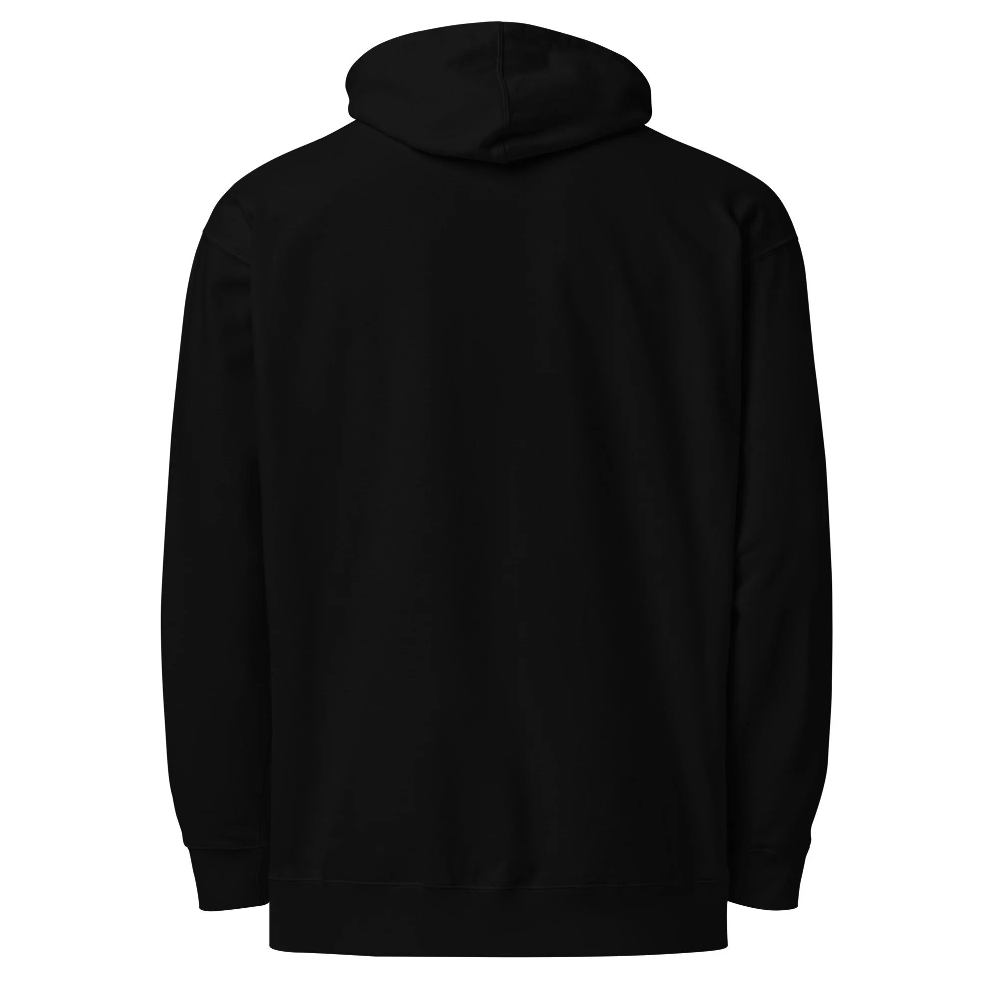 unisex-midweight-hoodie-black-back-6a29a2c764320.jpg