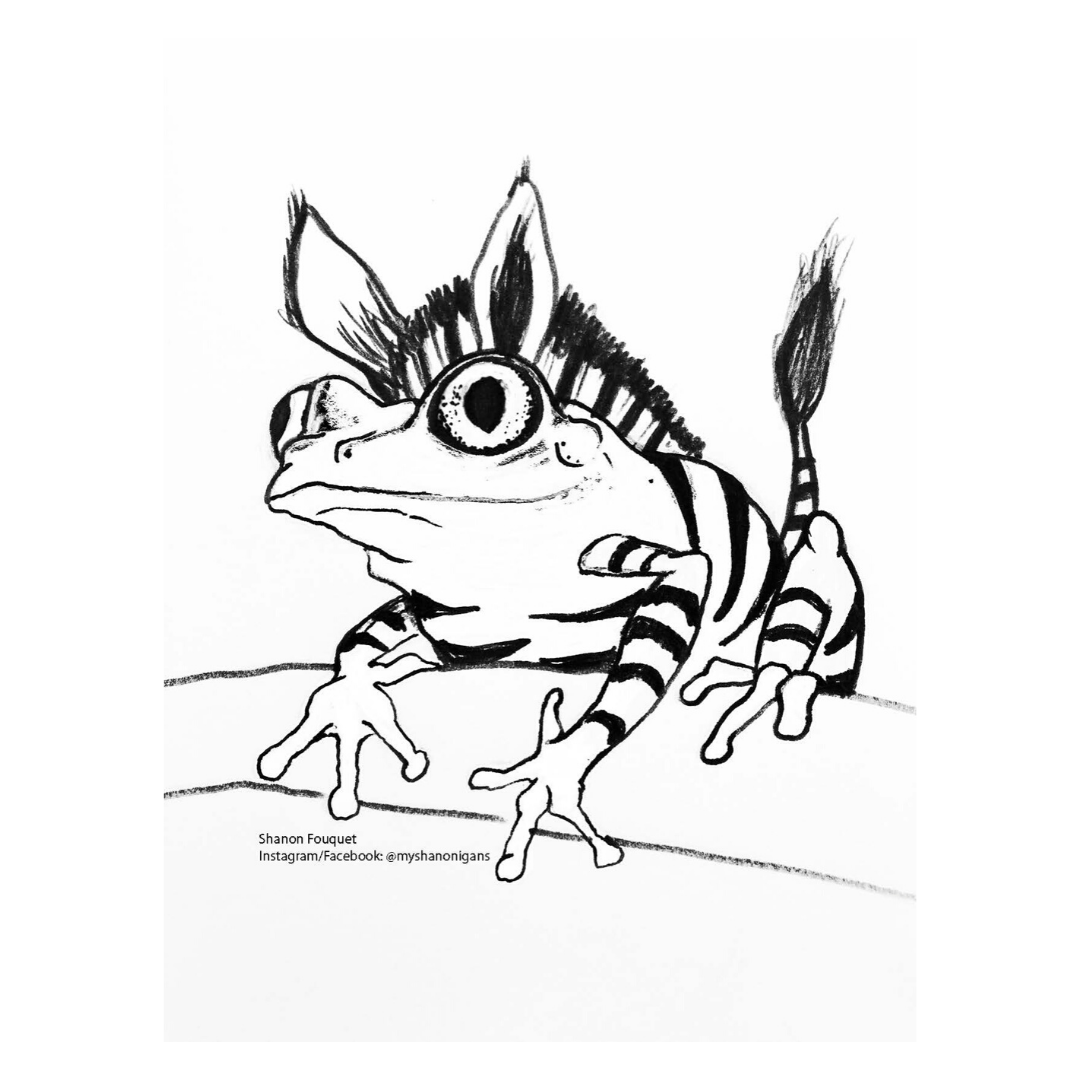 ZEBRAFROG
