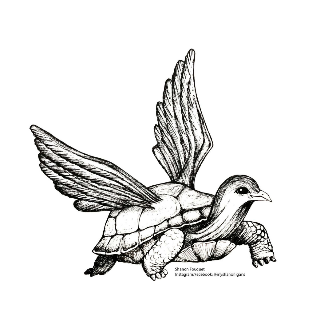 TURTLEDOVE