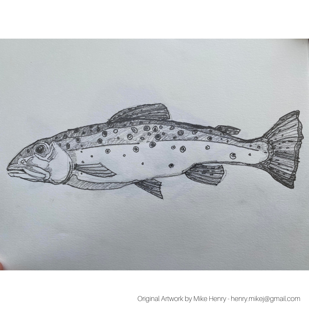 fish1_sq.png