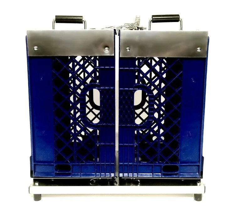 Blue1A.jpg