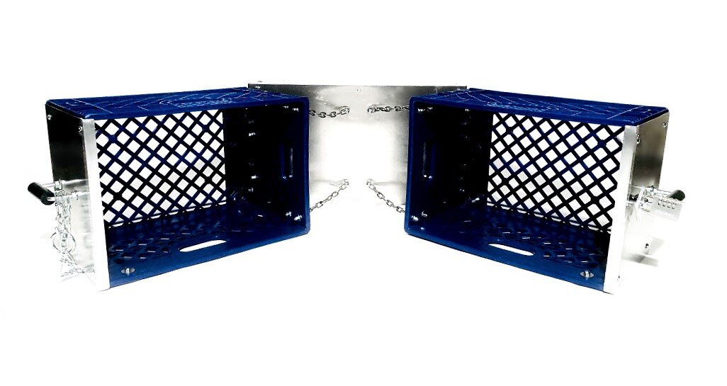 Blue4.jpg