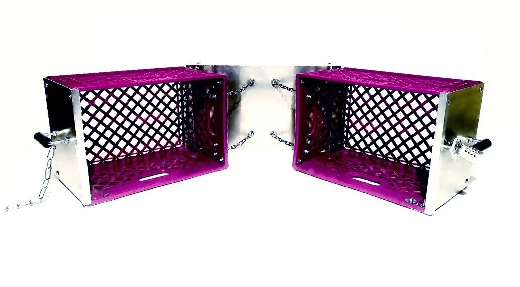 Fuschia4.jpg