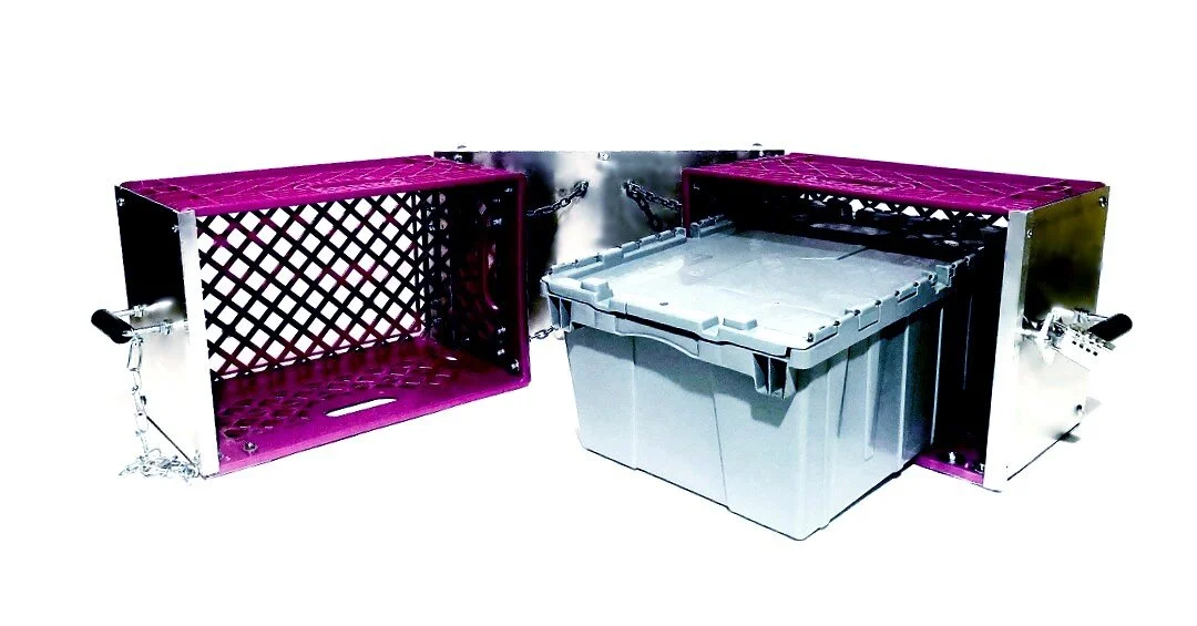 Fuschia6.jpg