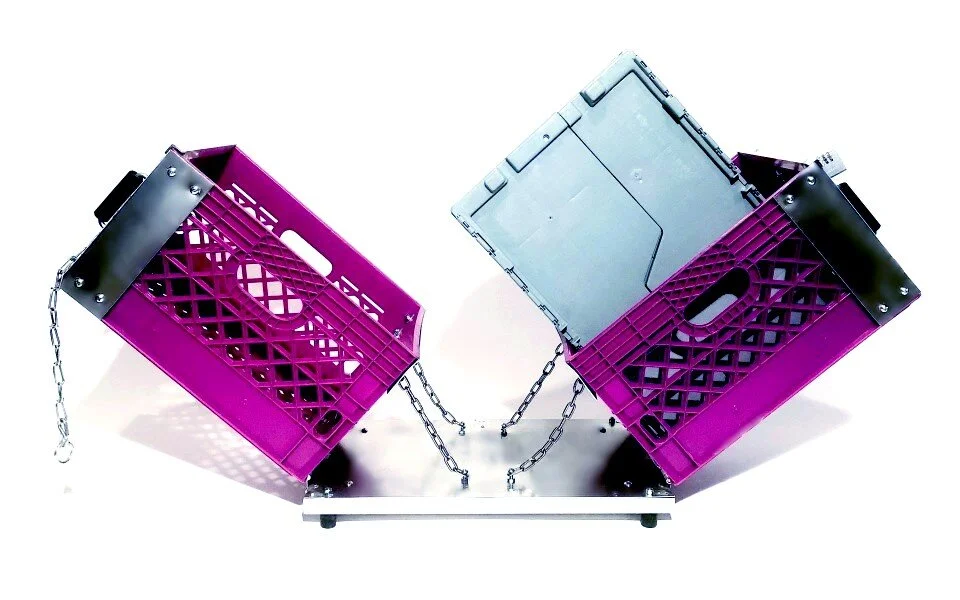 Fuschia7.jpg