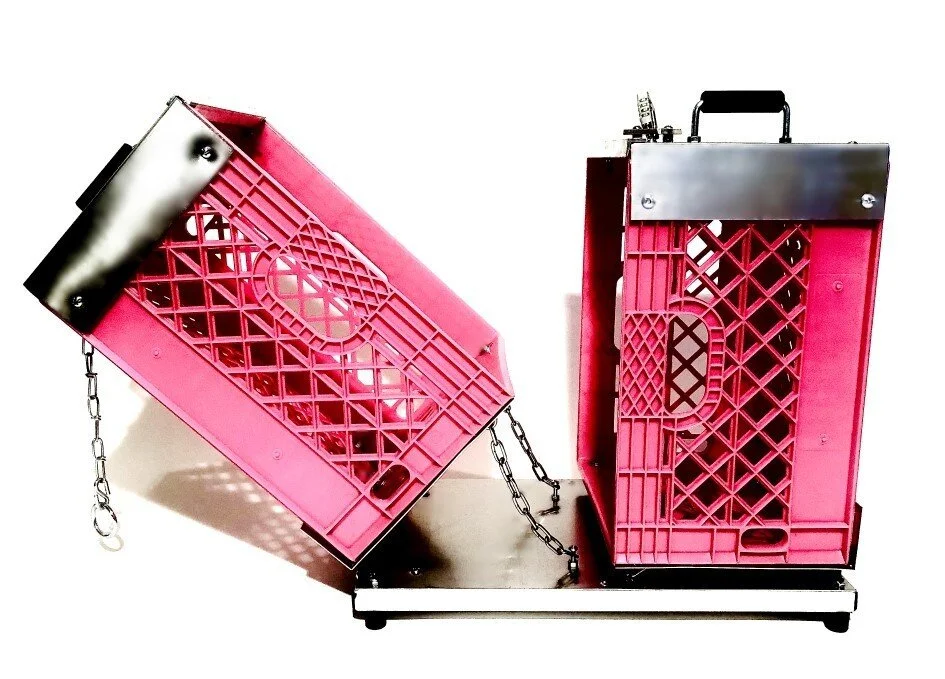 Pink2.jpg