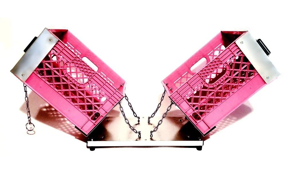 Pink3.jpg