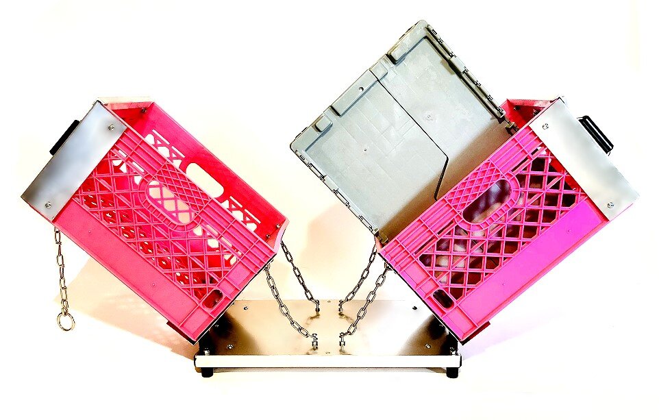 Pink7.jpg
